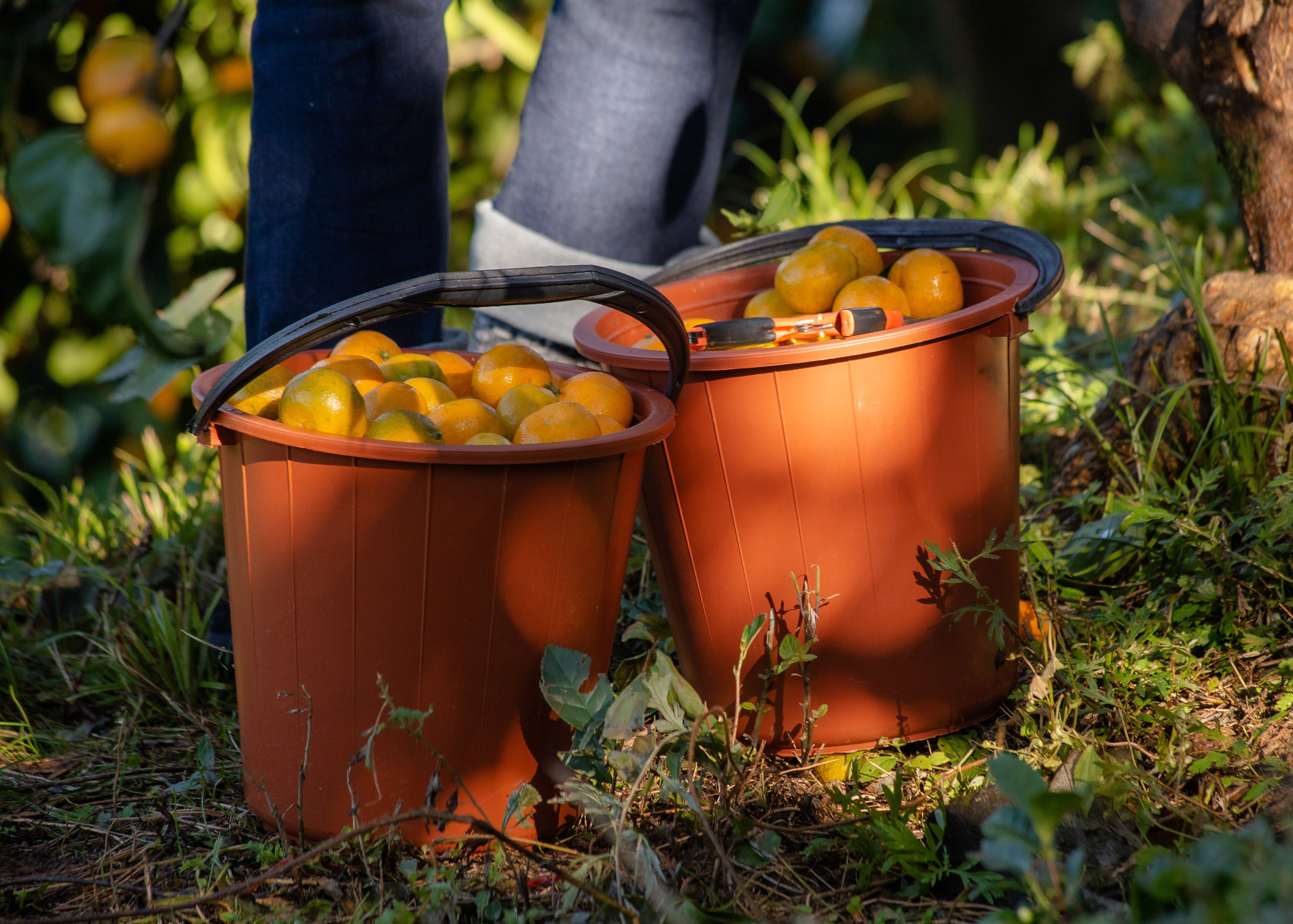 Event. PHOTOSTORYNIKA