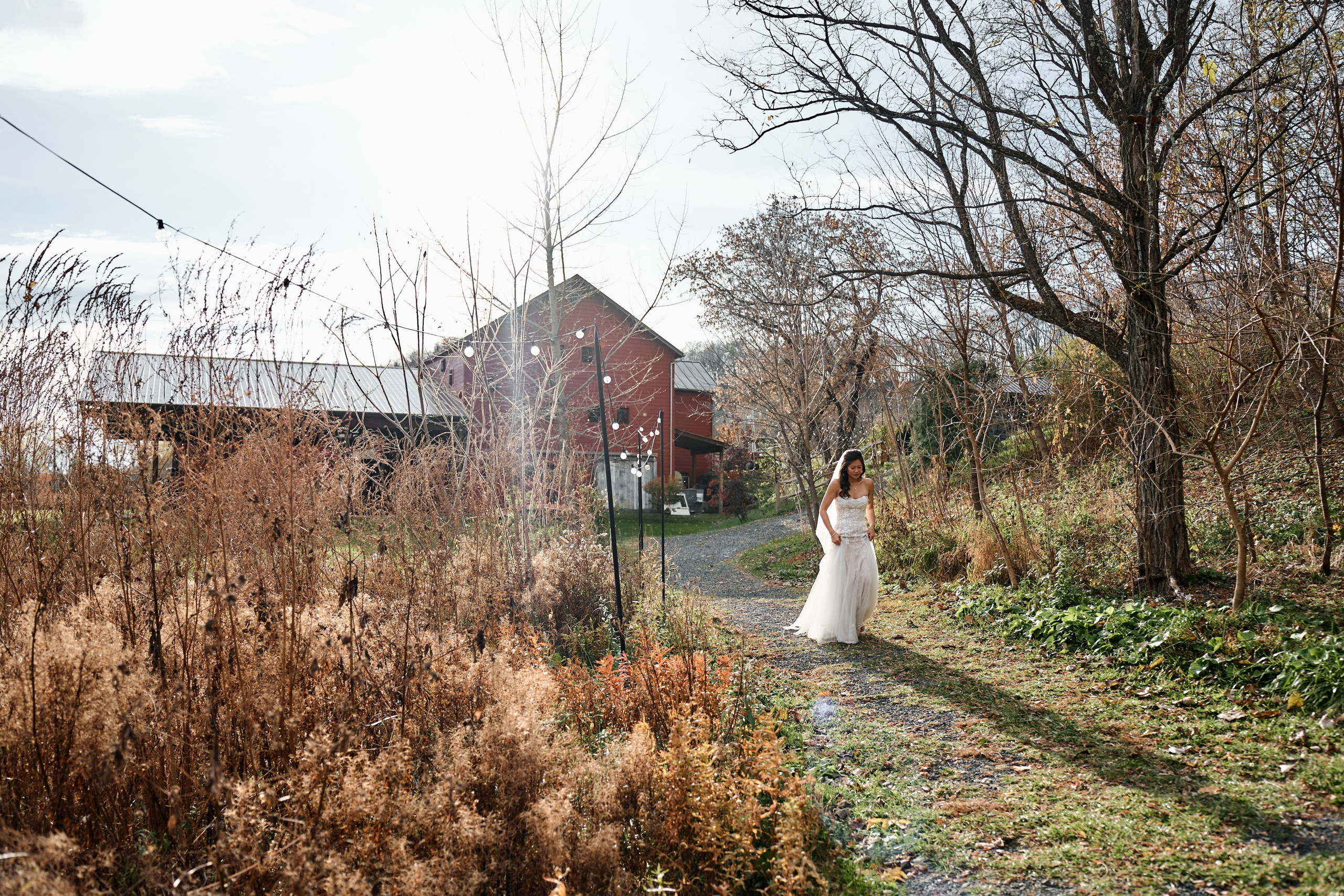 Stephanie & James. Professional Wedding and event photographer USA New York