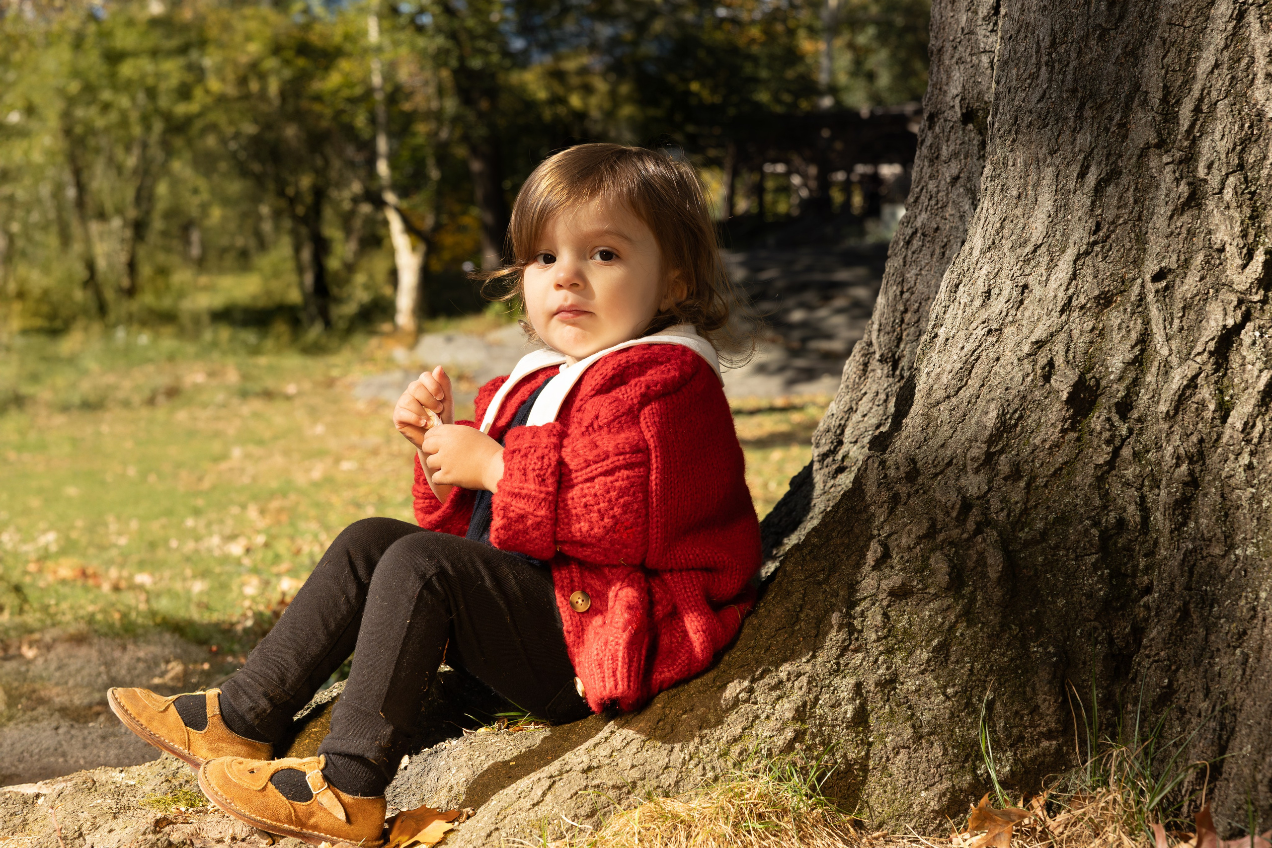 Little Moments, Big Love. Family, lifestyle, and commercial photography in New York and New Jersey