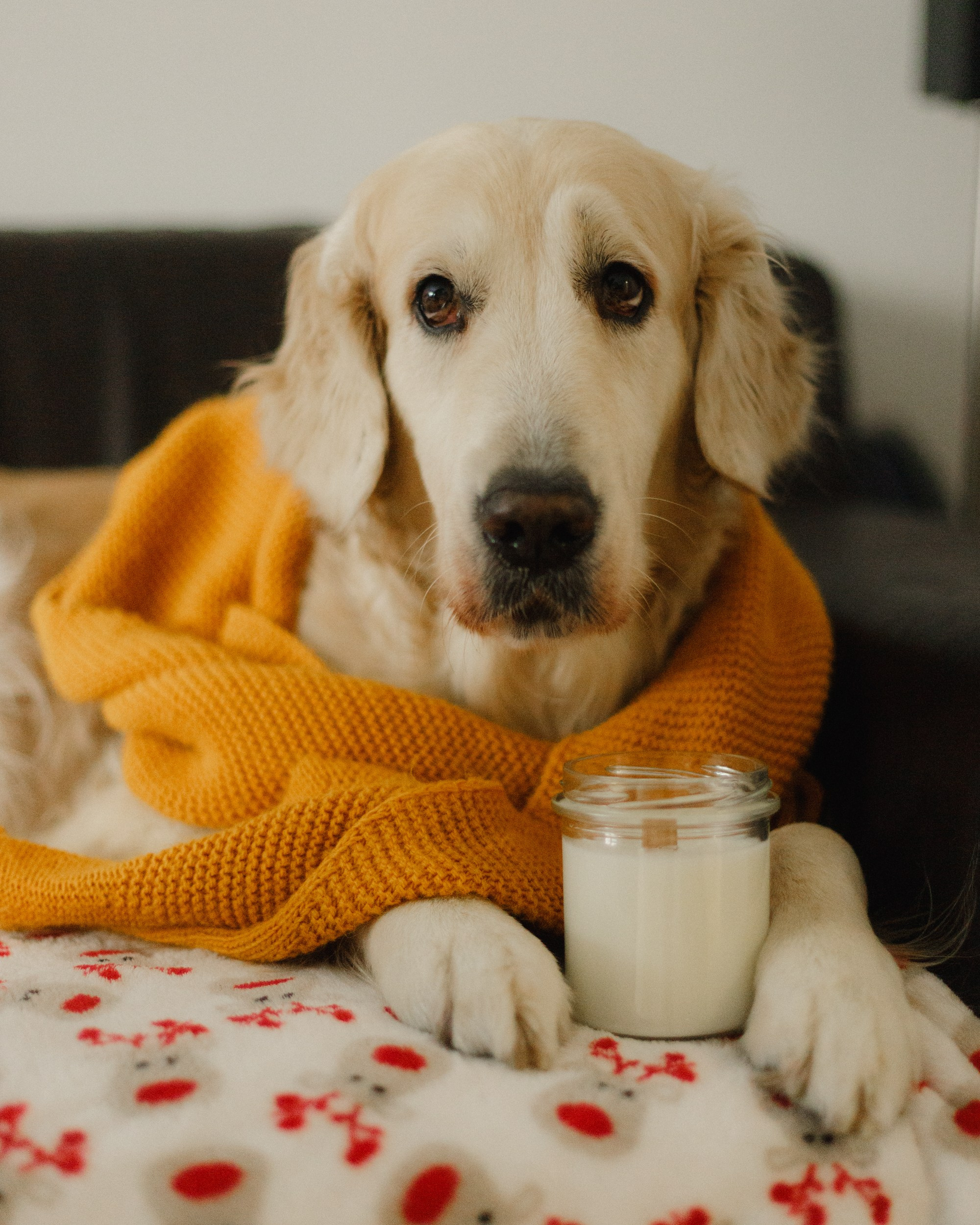 Candles | insta content. Kaja | fotograf we Wrocławiu | ludzie i psy