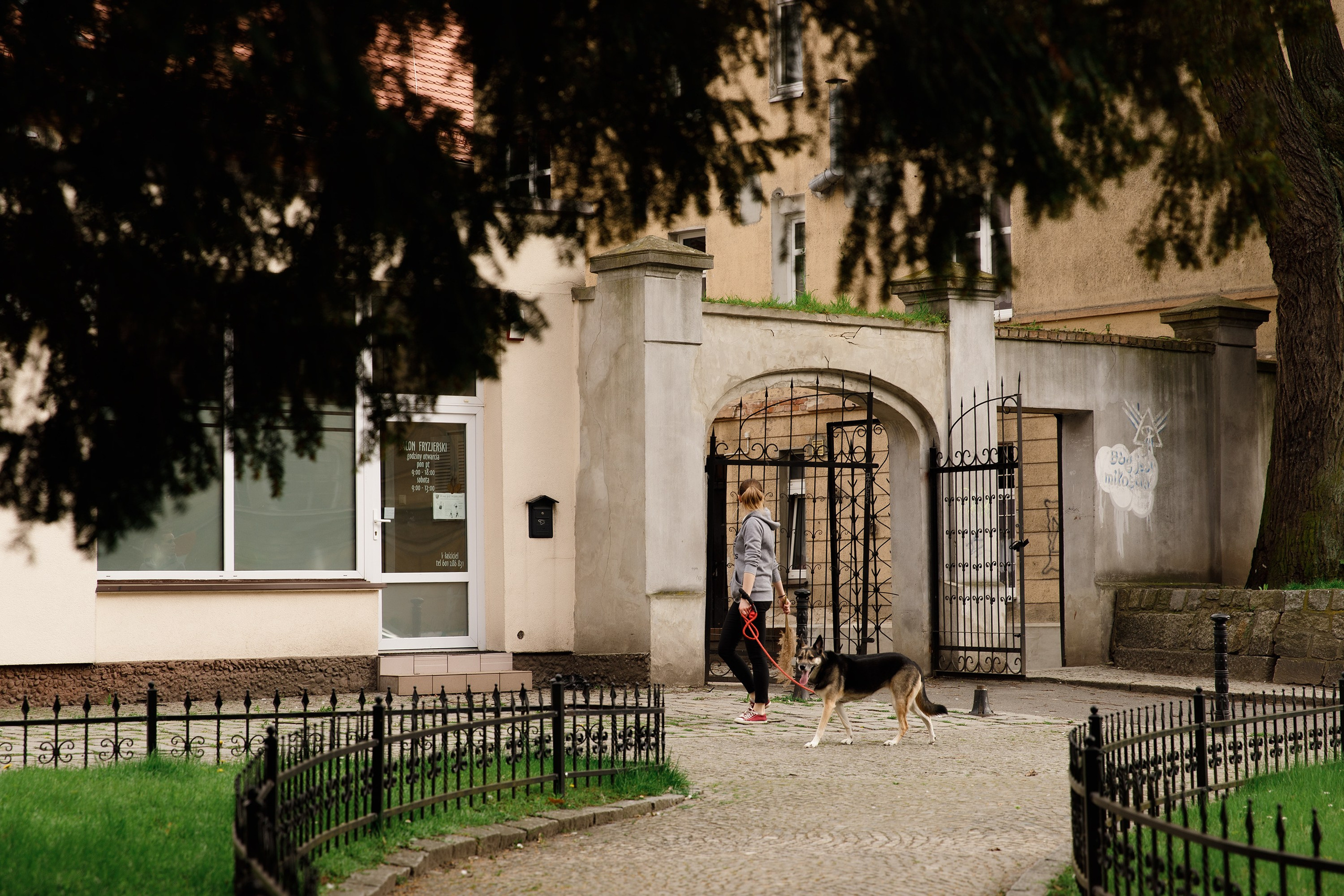 Oleśnica castle. Kaja | fotograf psów we Wrocławiu