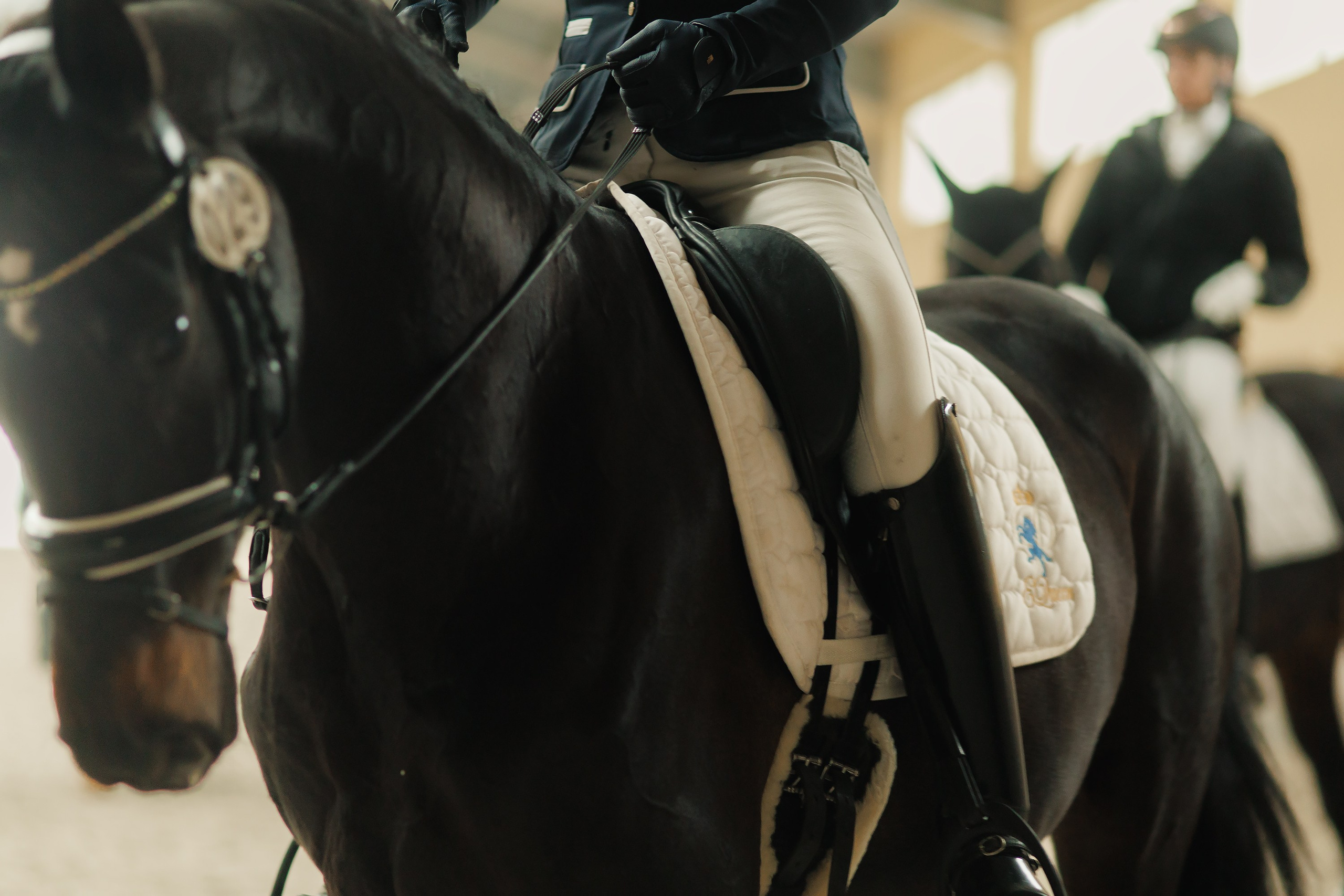 Partynice dressage \ feb'25. Kaja | fotograf we Wrocławiu | ludzie i psy