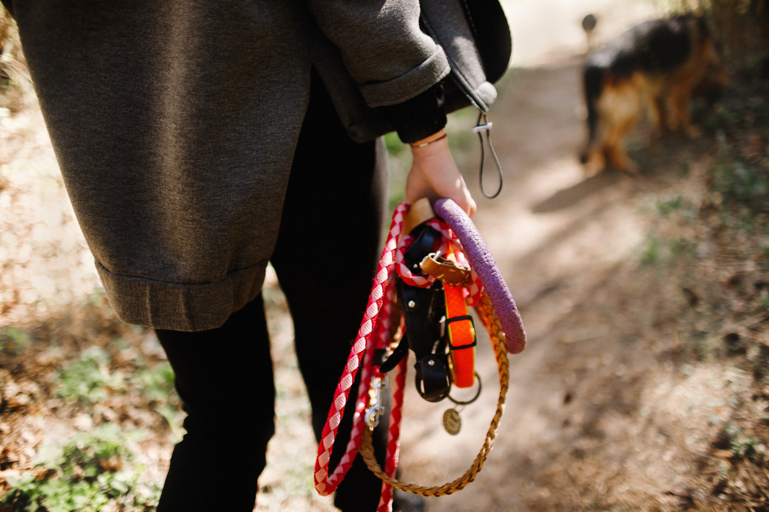 Dog trainer blog content. Kaja | fotograf we Wrocławiu | ludzie i psy