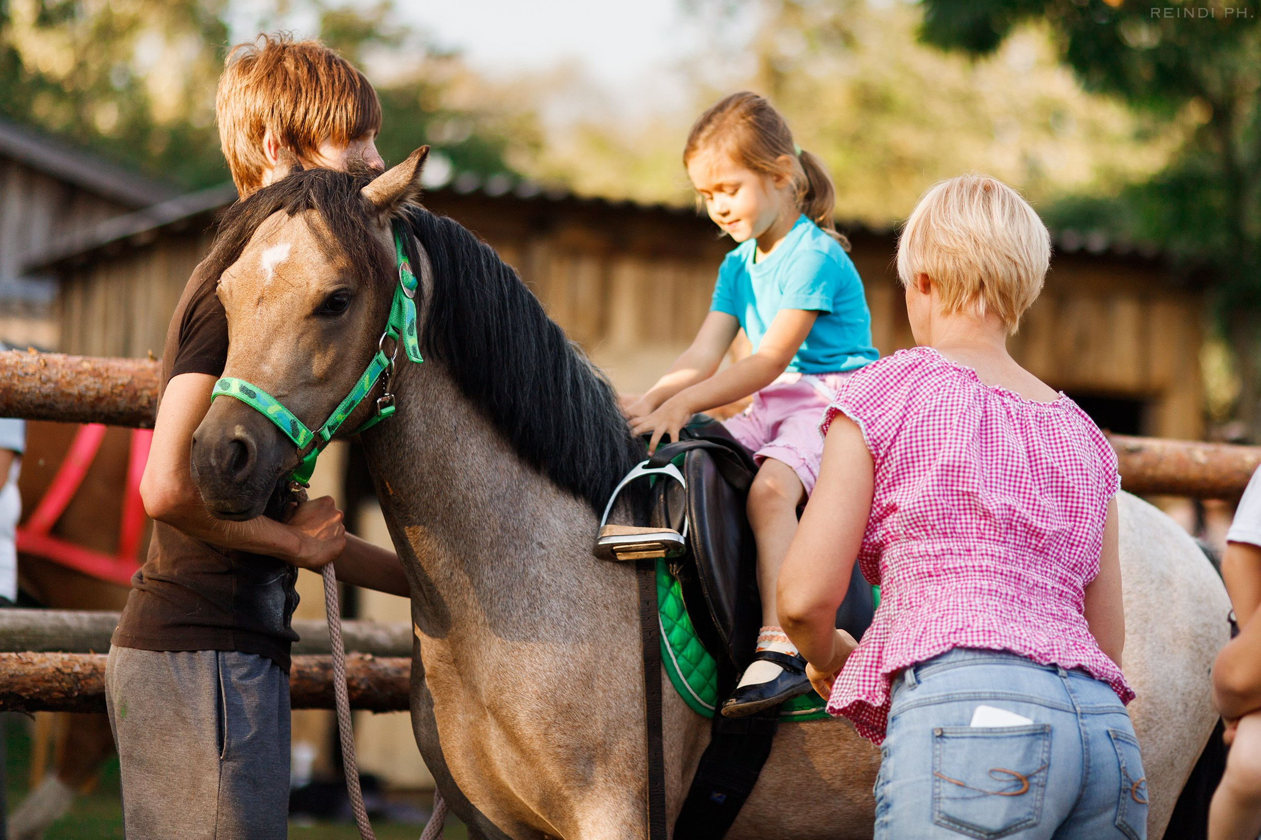 Horse show in the village. Kaja | fotograf we Wrocławiu | ludzie i psy