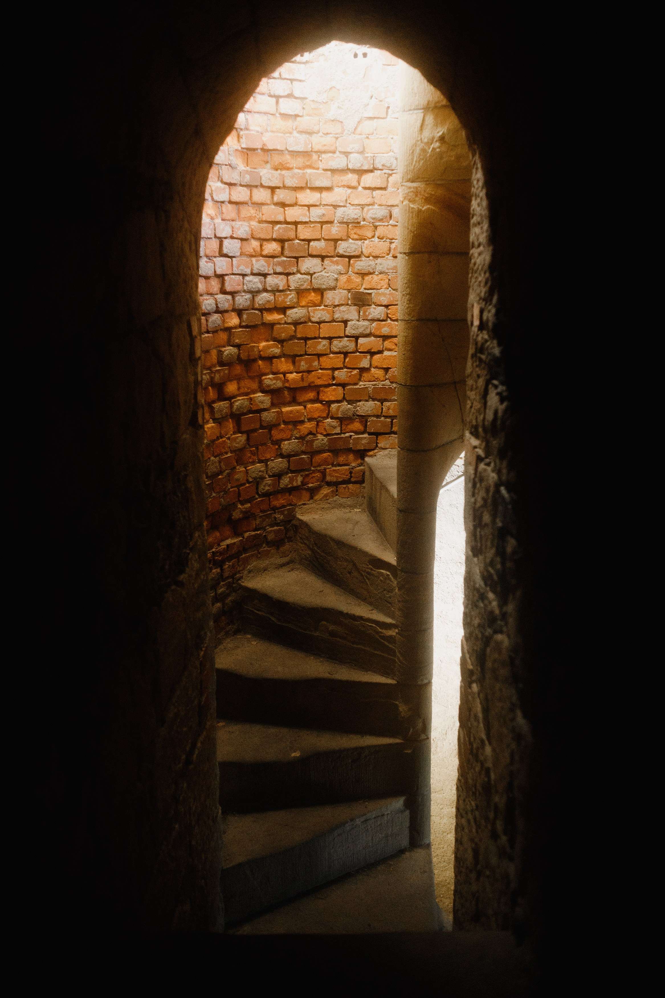 Zamek Grodziec. Kaja | fotograf psów we Wrocławiu