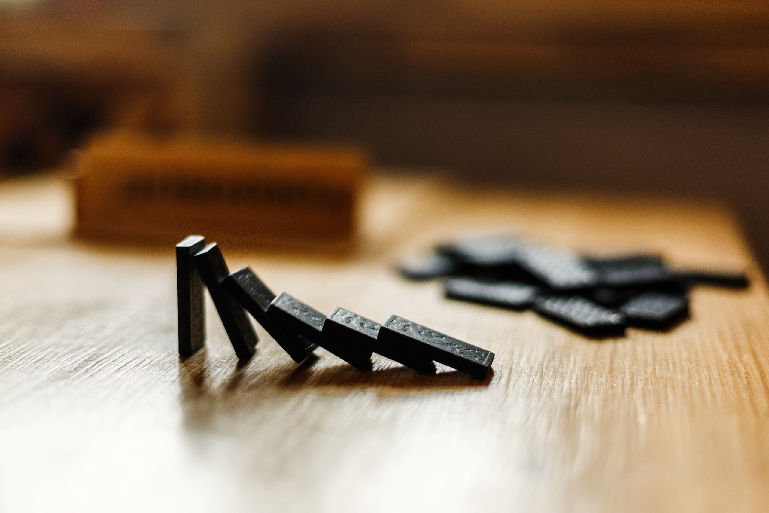 Yevgeniy | fitness trainer. Kaja | fotograf psów we Wrocławiu