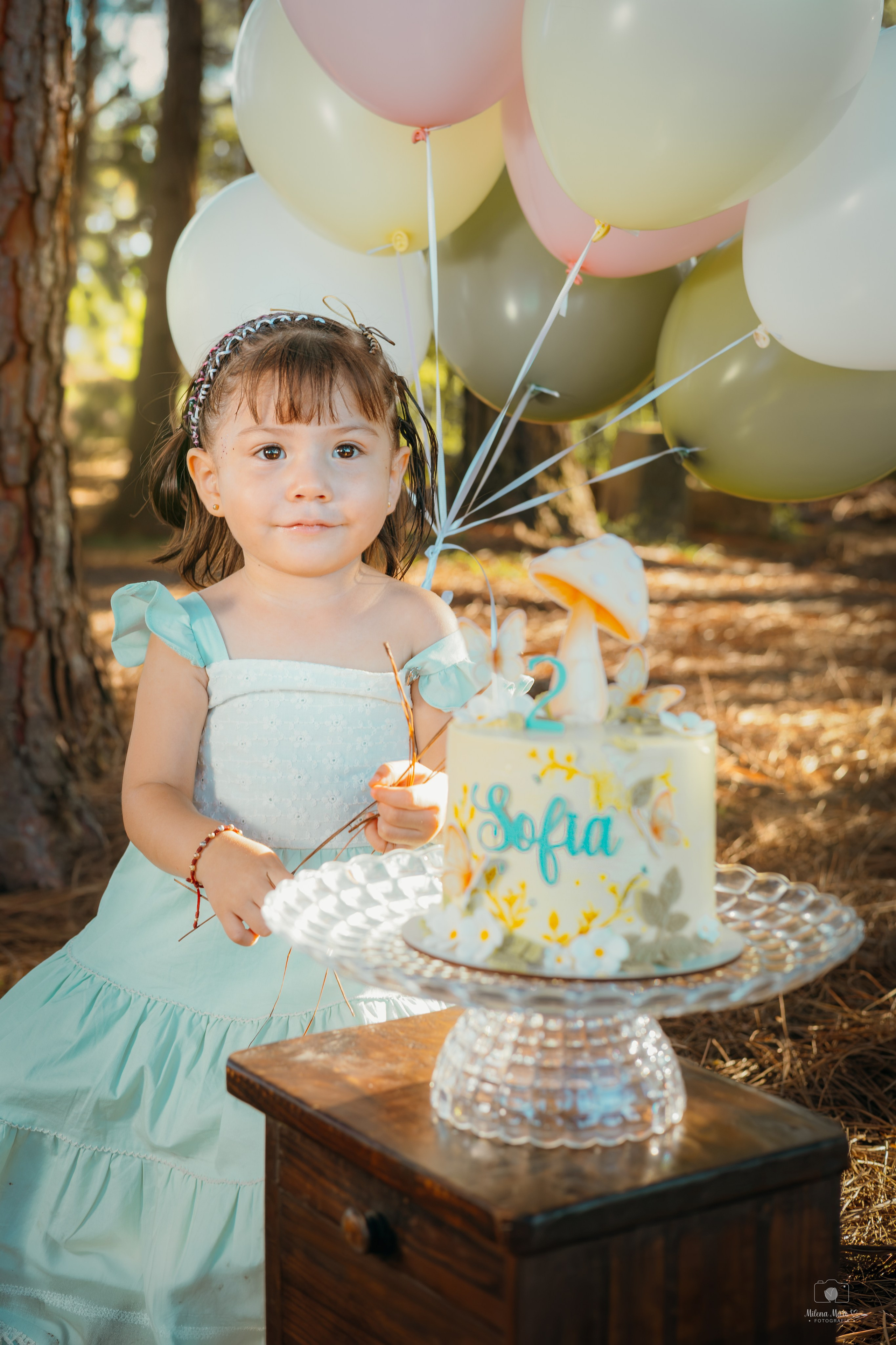SESIÓN DE FOTOS DOS AÑOS. Milena Maro Fotografía: estudio profesional en Acacías, Meta. Retrato familiar, infantil, maternas, eventos y empresas