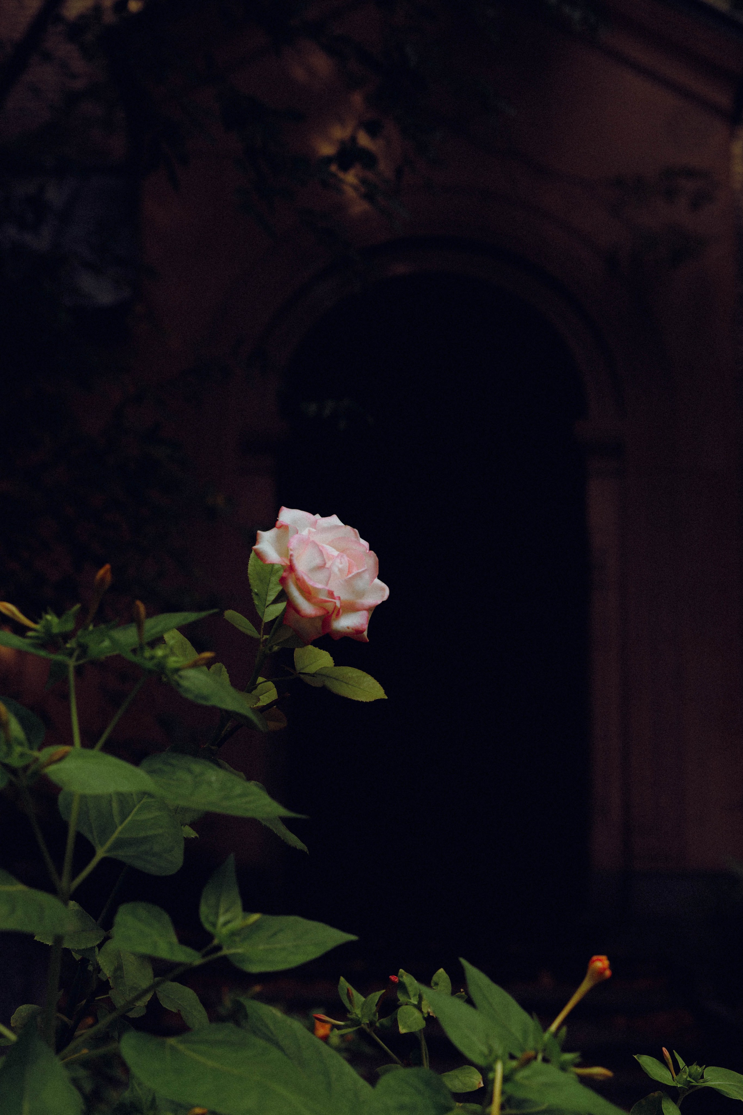 Фотосессия с Сашей