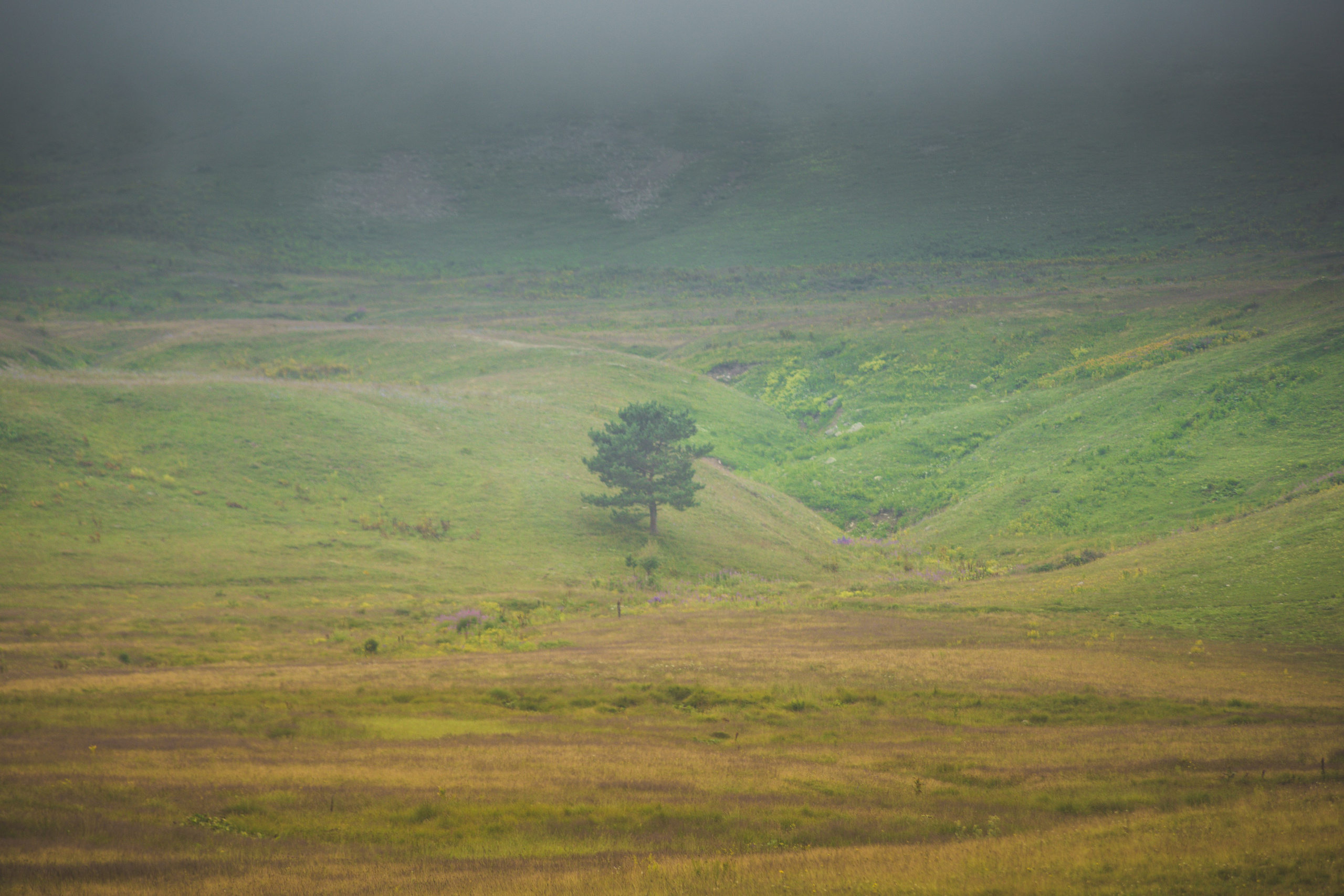 Urban. PHOTOSTORYNIKA