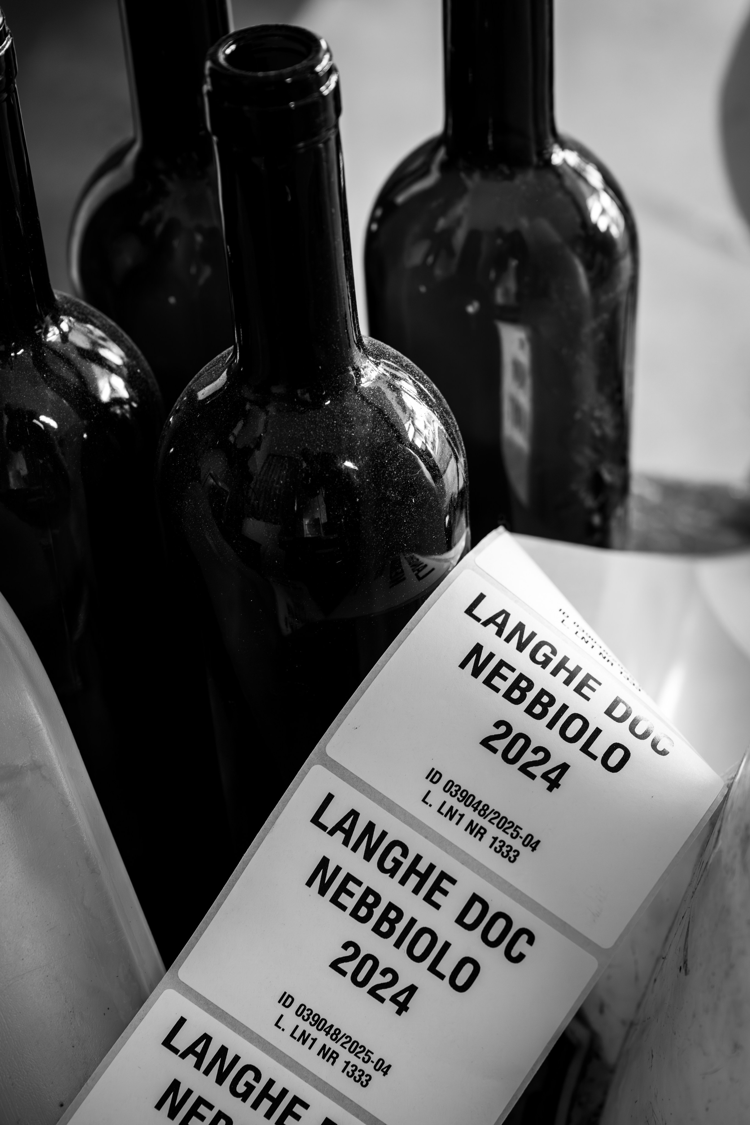 Cantine Boasso Serralunga. “Gianmaria Coscia fotografo per passione”