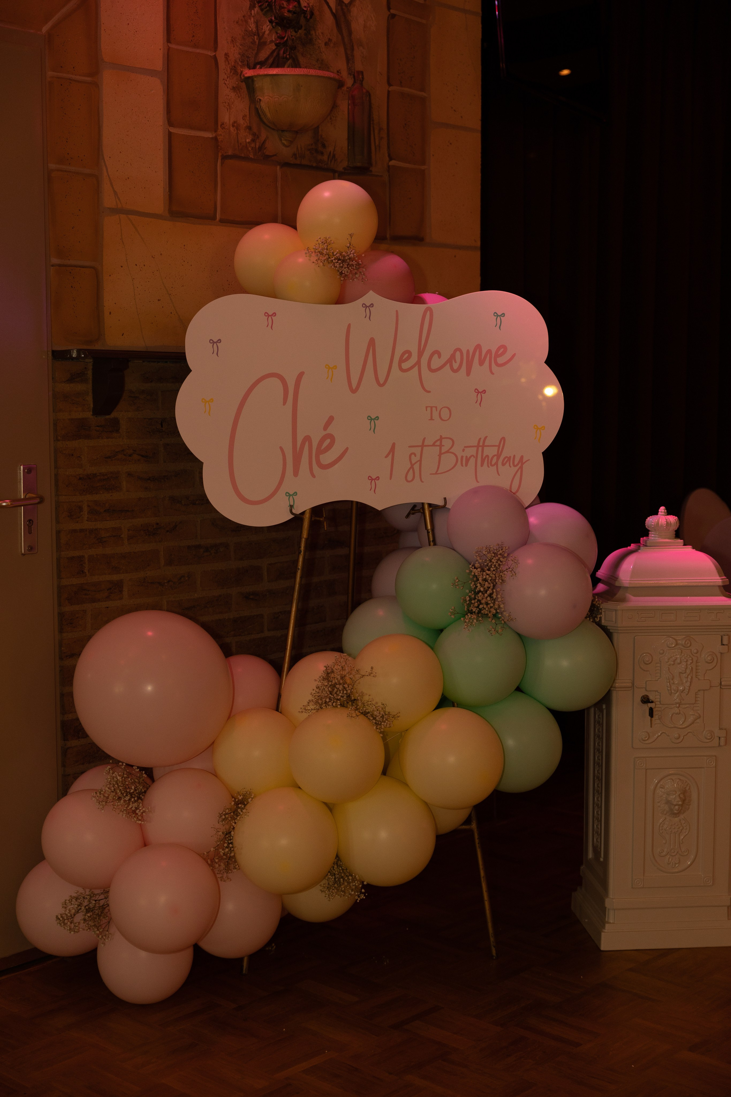 1 st Birthday. Portrait and Family Photographer in Netherlands