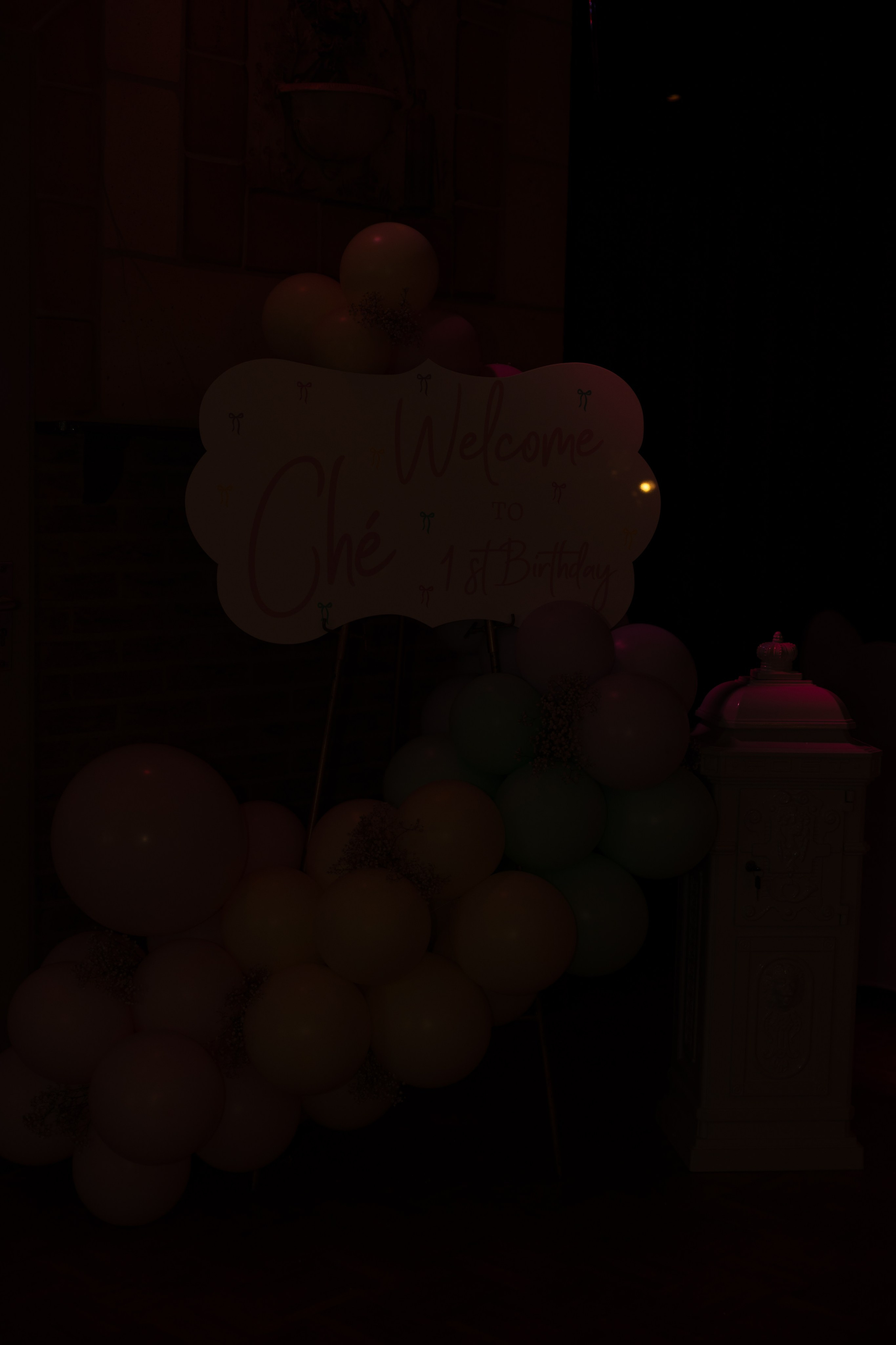 1 st Birthday. Portrait and Family Photographer in Netherlands