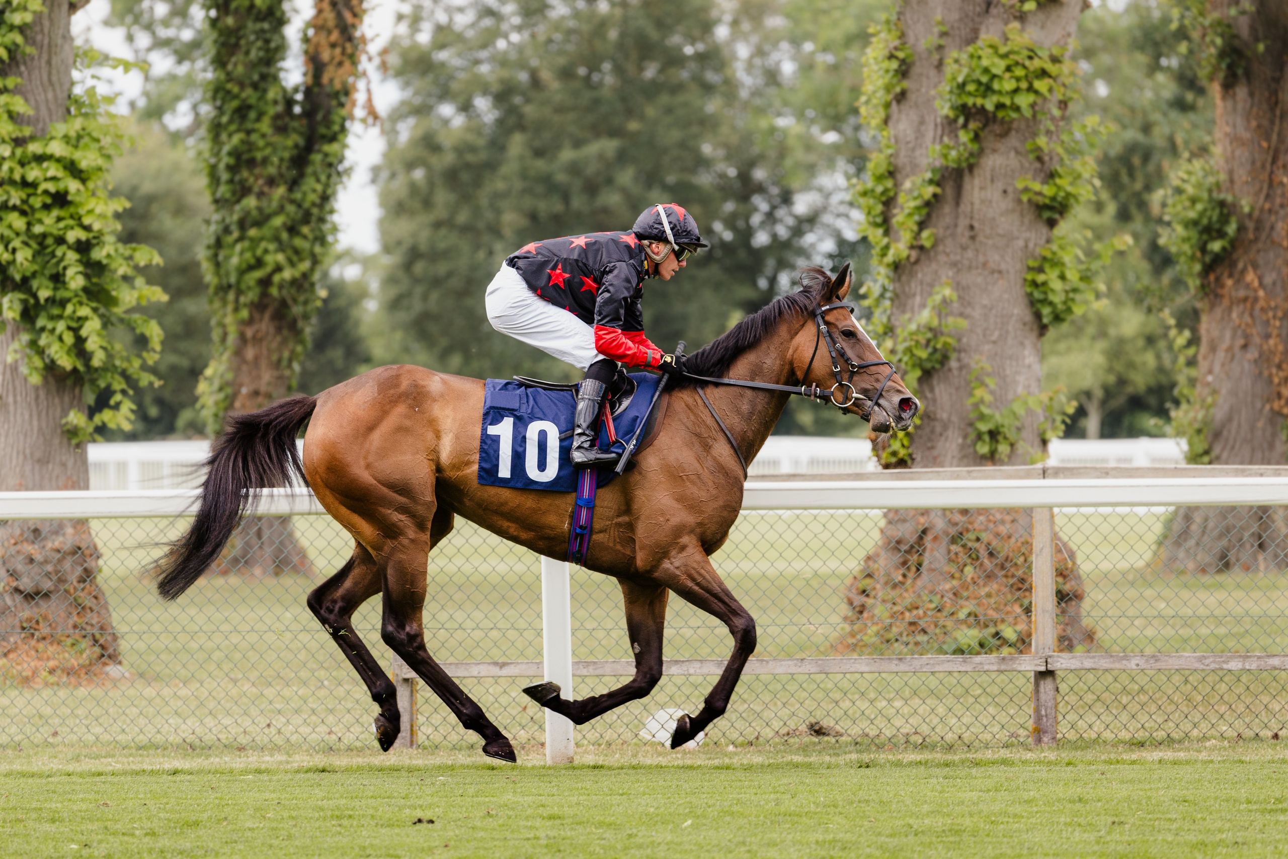 40th Birthday — Royal Windsor Racecourse. June, 2023. Timeless Wedding & Event Photography from London to the world