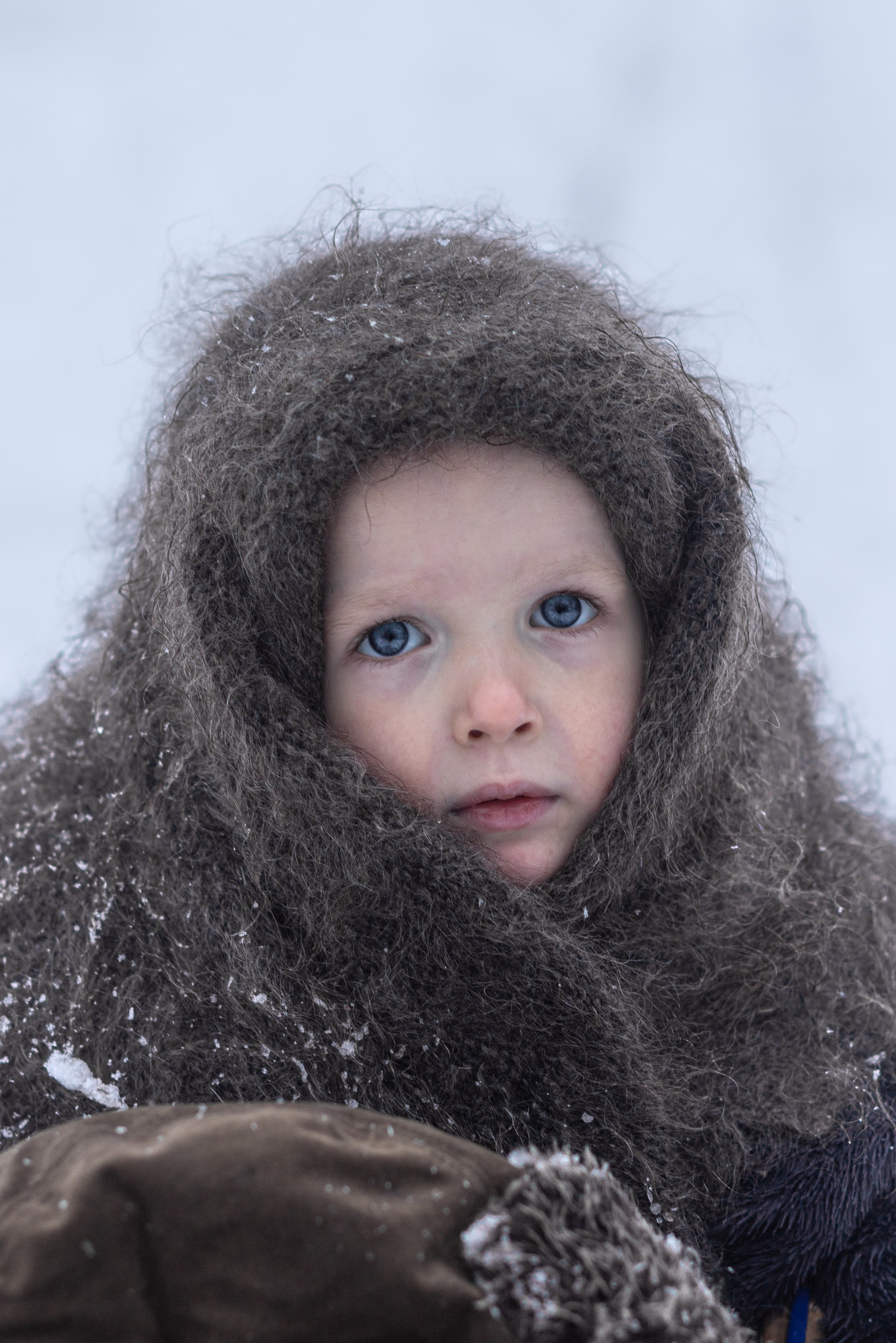 Ein Weihnachtsmärchen. Olena Fritz Fotografie