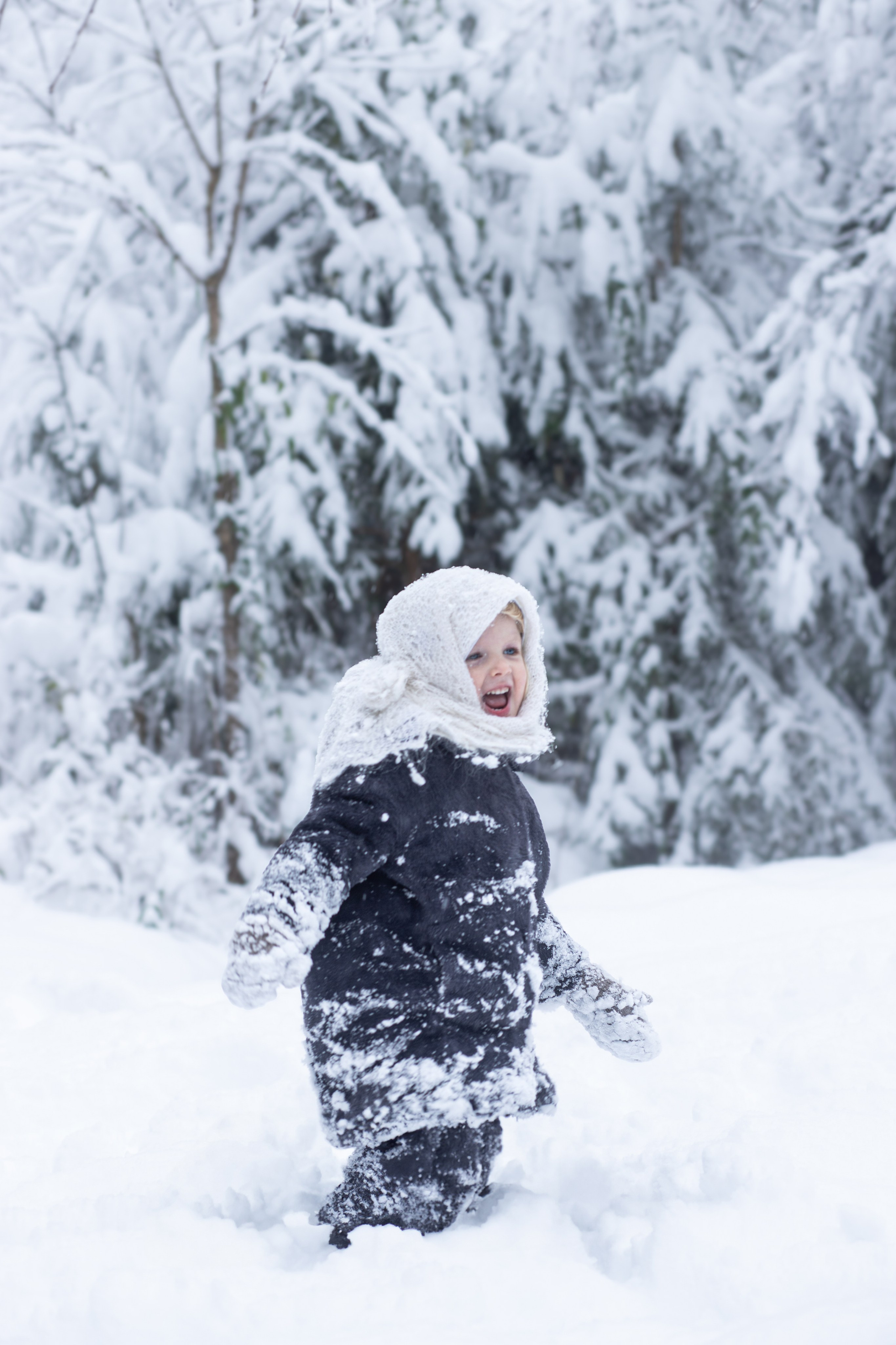 Ein Weihnachtsmärchen. Olena Fritz Fotografie