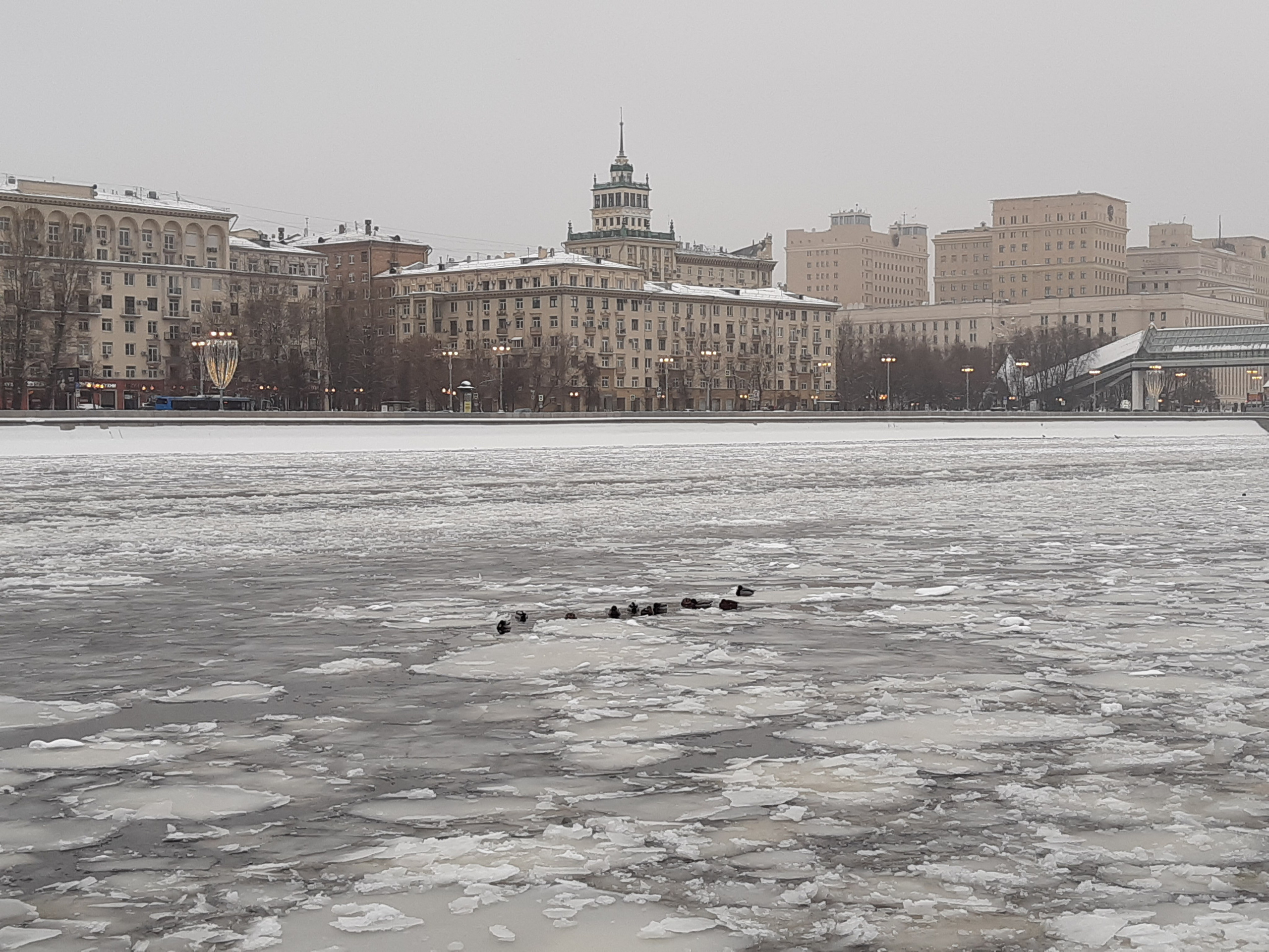 Materials collection and inspiration. Anne-Flore REY, Artist — Painter and Sculptor in TOULOUSE (FR)