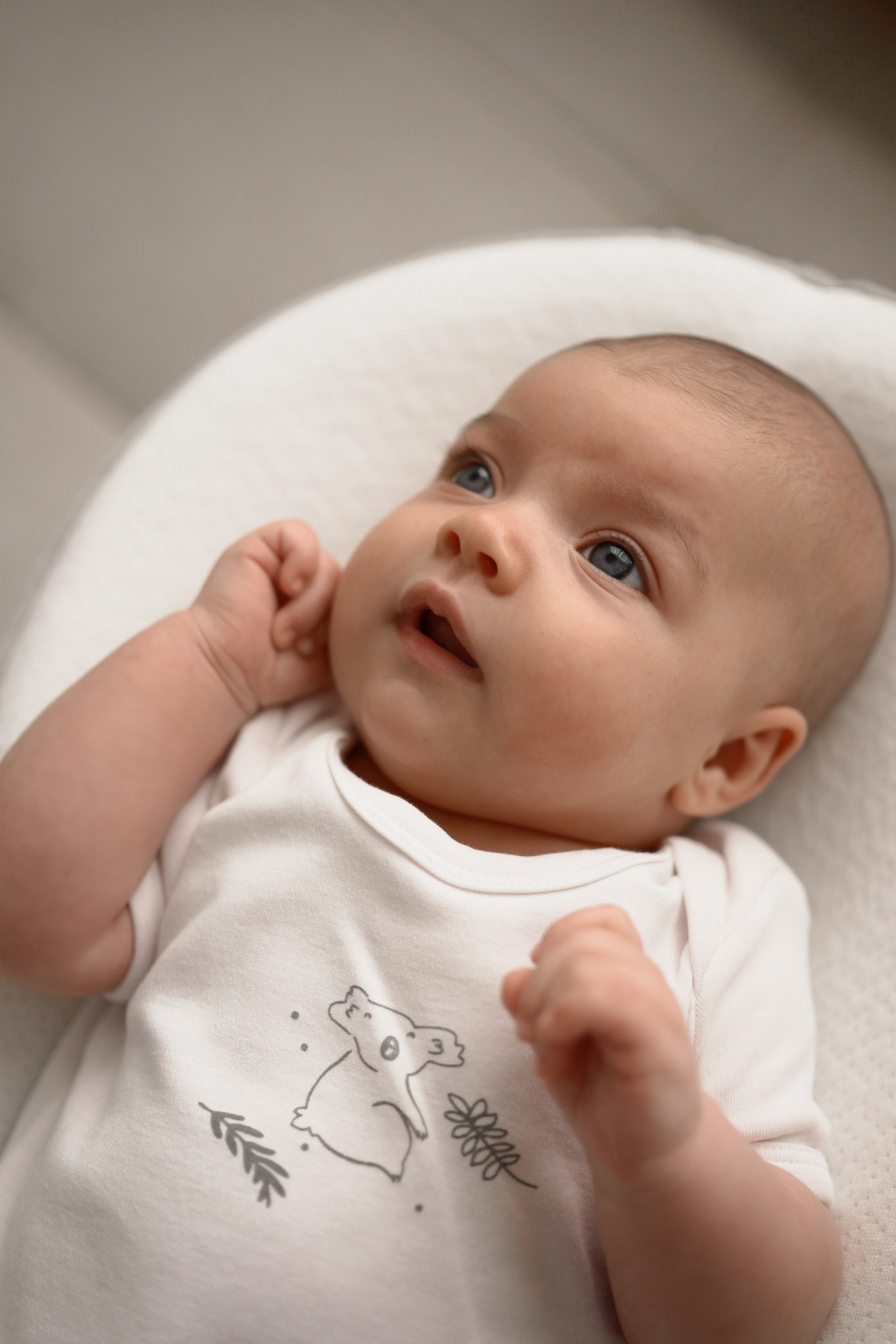 Asia. Lifestyle фотограф в Турции: Ташуджу, Силифке, Мерсин