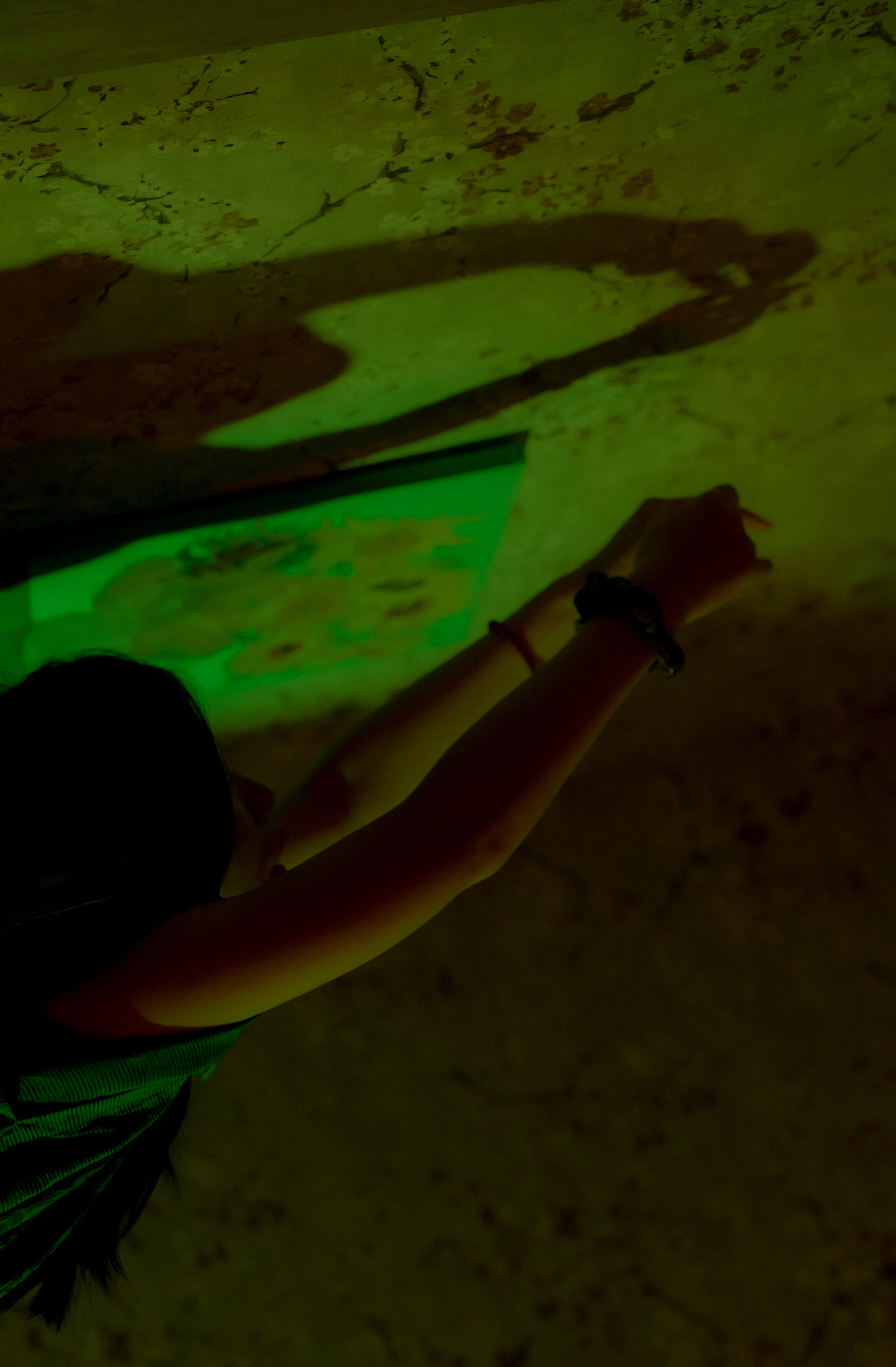 Терапия & Фототерапия: 2 мастера, 3 часа практики и фото. Art Photographer