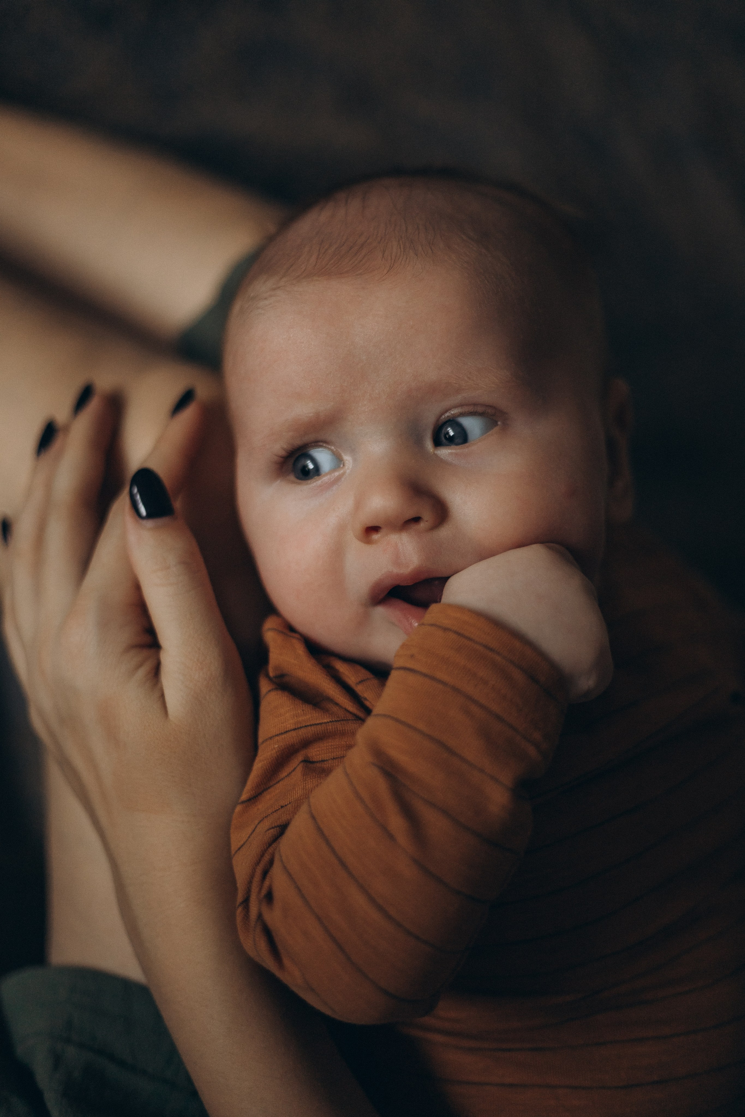 LĪVAS ģimene. GALVENĀ