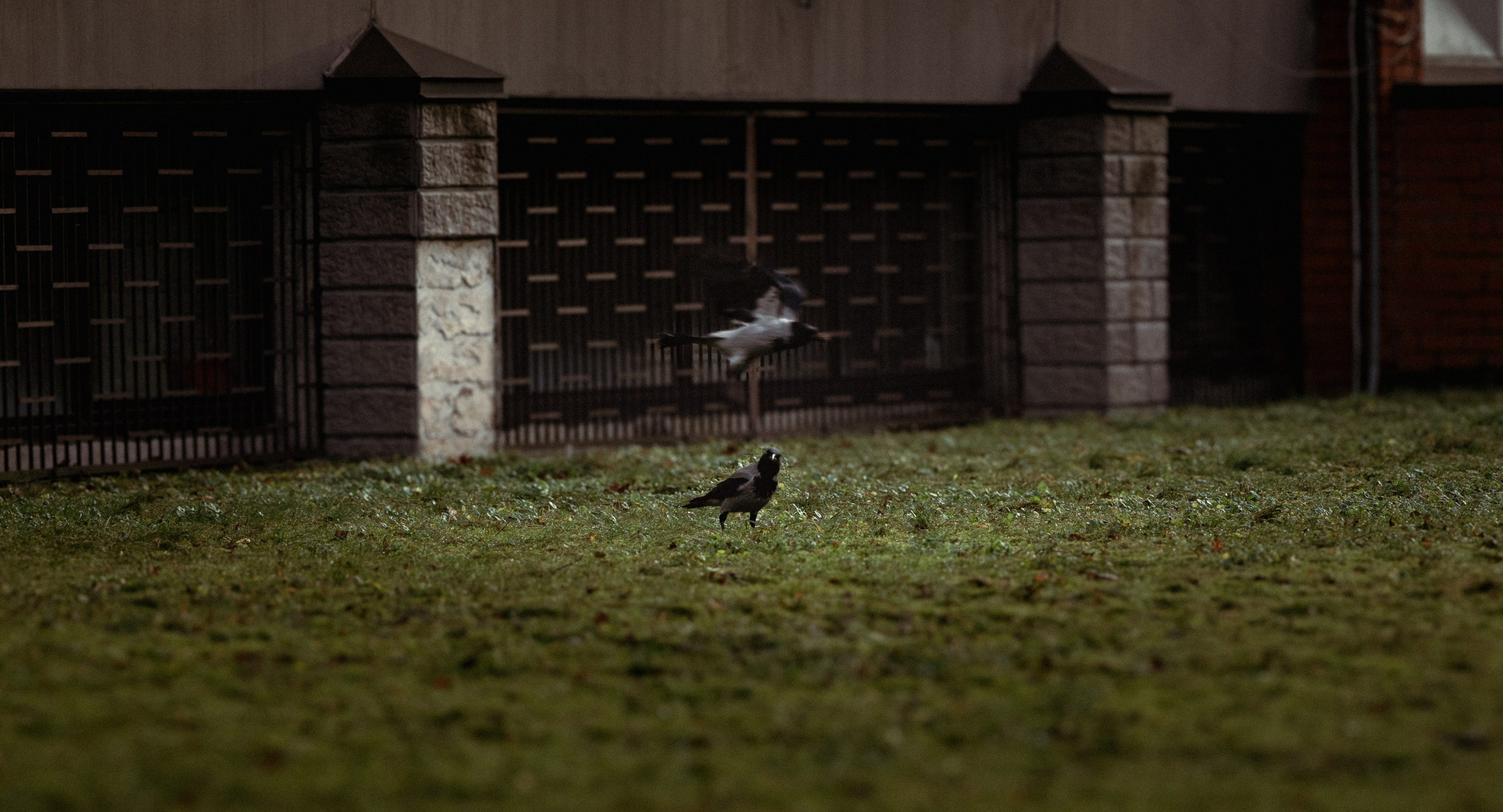 Riga. Дизайнер и Фотограф в Кишинёве Бусуйок Станислав