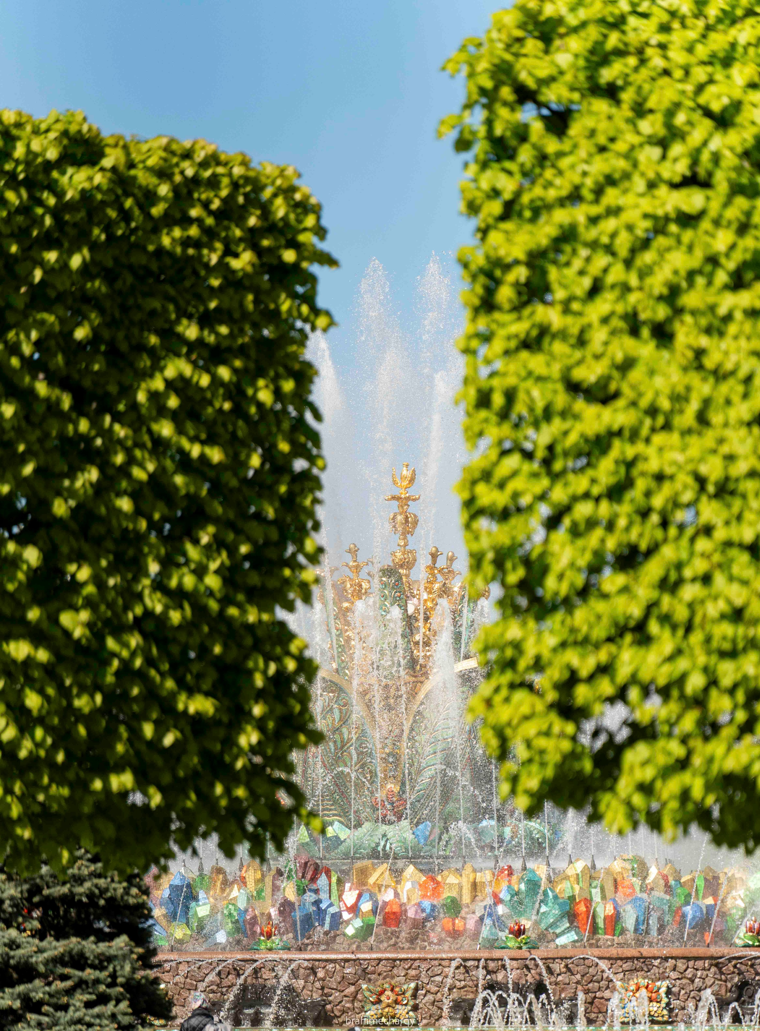 Фото. Брахим — фотограф