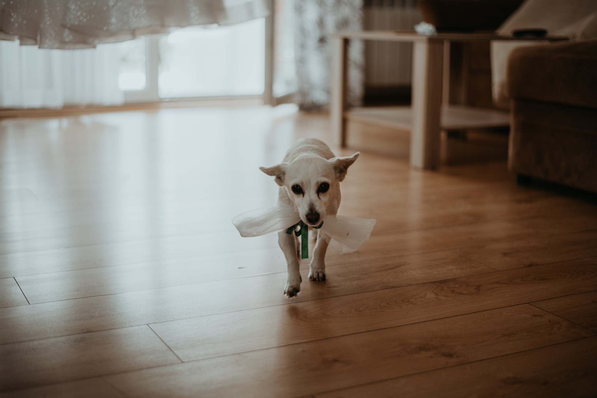 Wiktoria i Mateusz | mój pierwszy reportaż. Dominika Strachacka Fotografia | Fotograf ślubny i rodzinny Opole Lubelskie Lublin