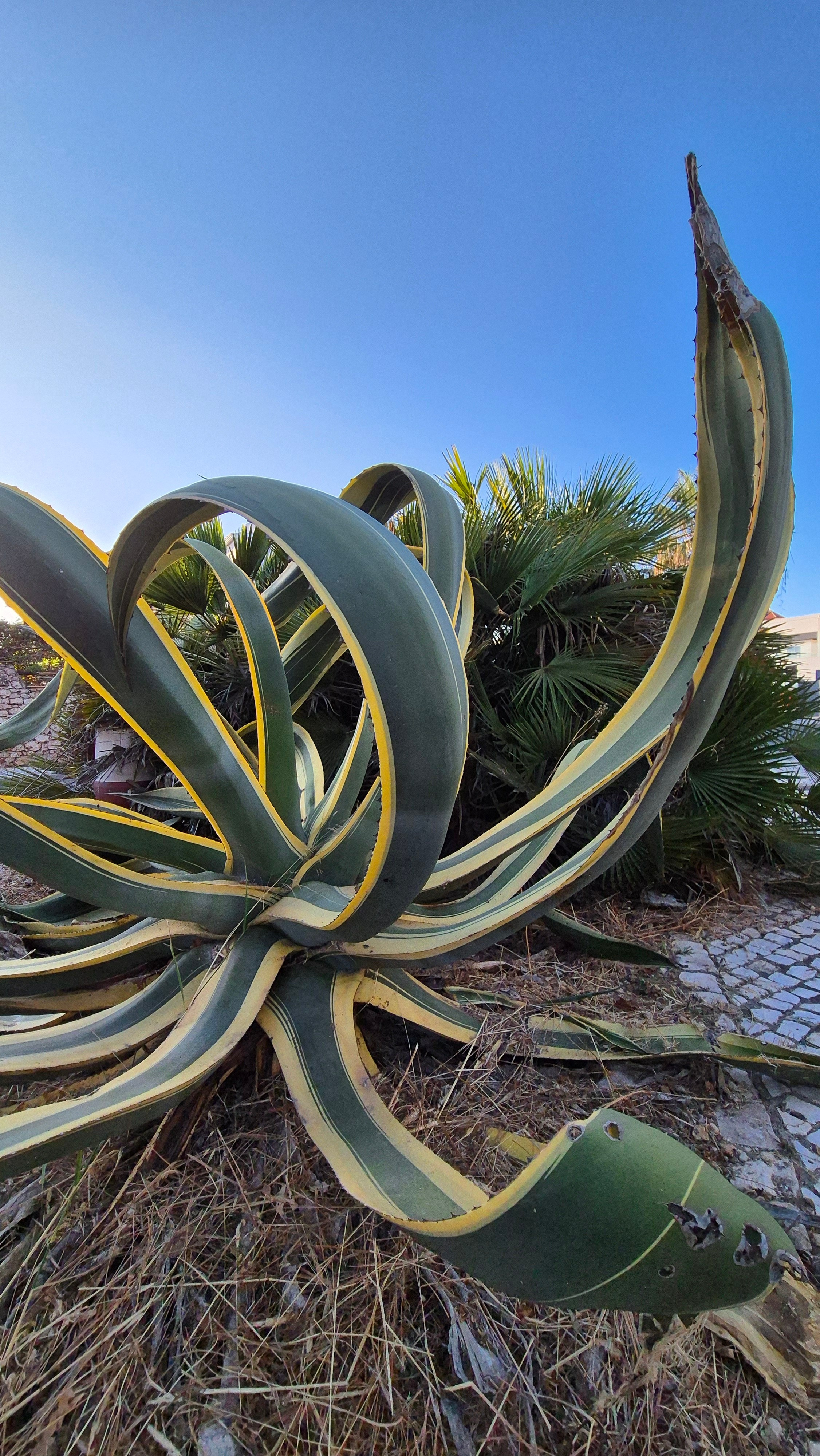 Portugal 2024. Марина фотограф из Нюрнберга