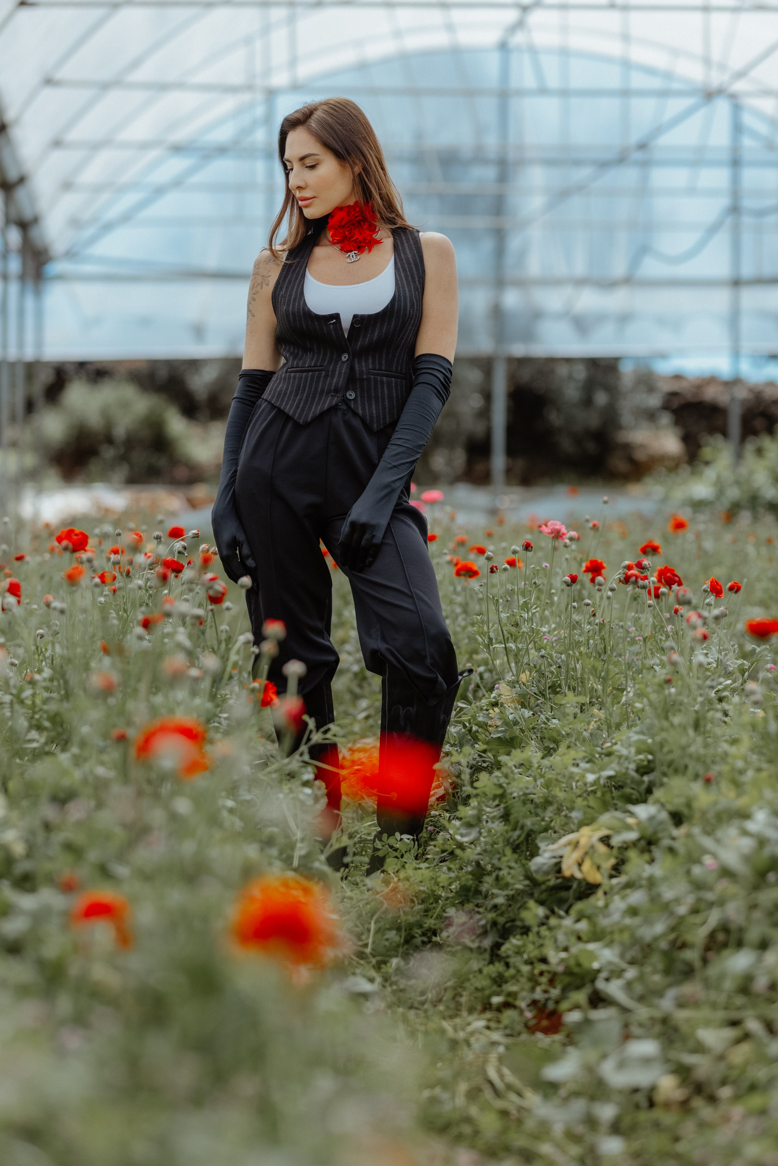 Цветочная плантация в Анталии. Фотограф в Турции | Алания, Сиде, Белек, Анталия, Кемер)