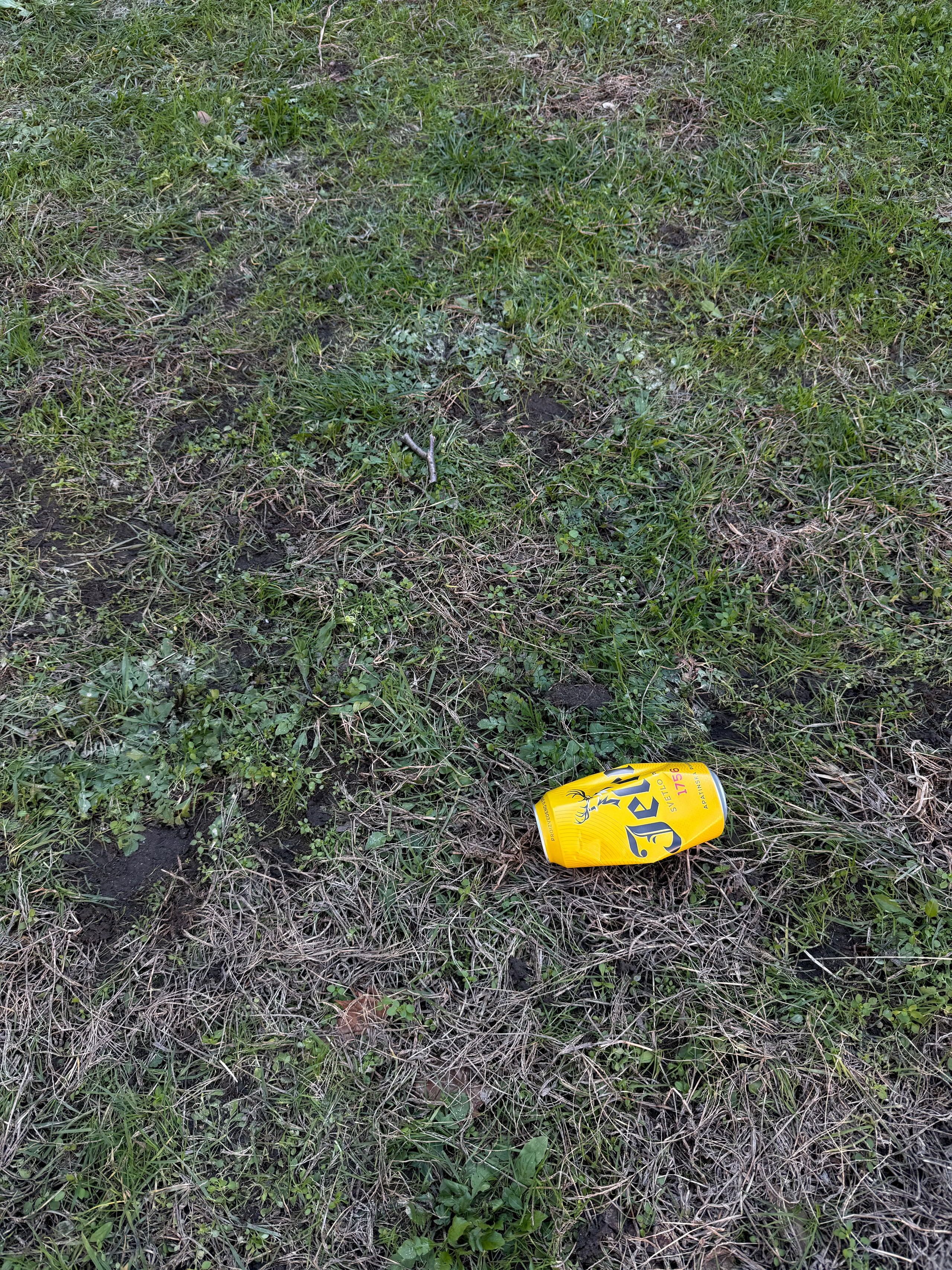 Как прошла первая фото-игра. Анастасия Еремина | Фотограф в Сербии | Персональные и бизнес-фотосессии в Белграде и Нови Саде