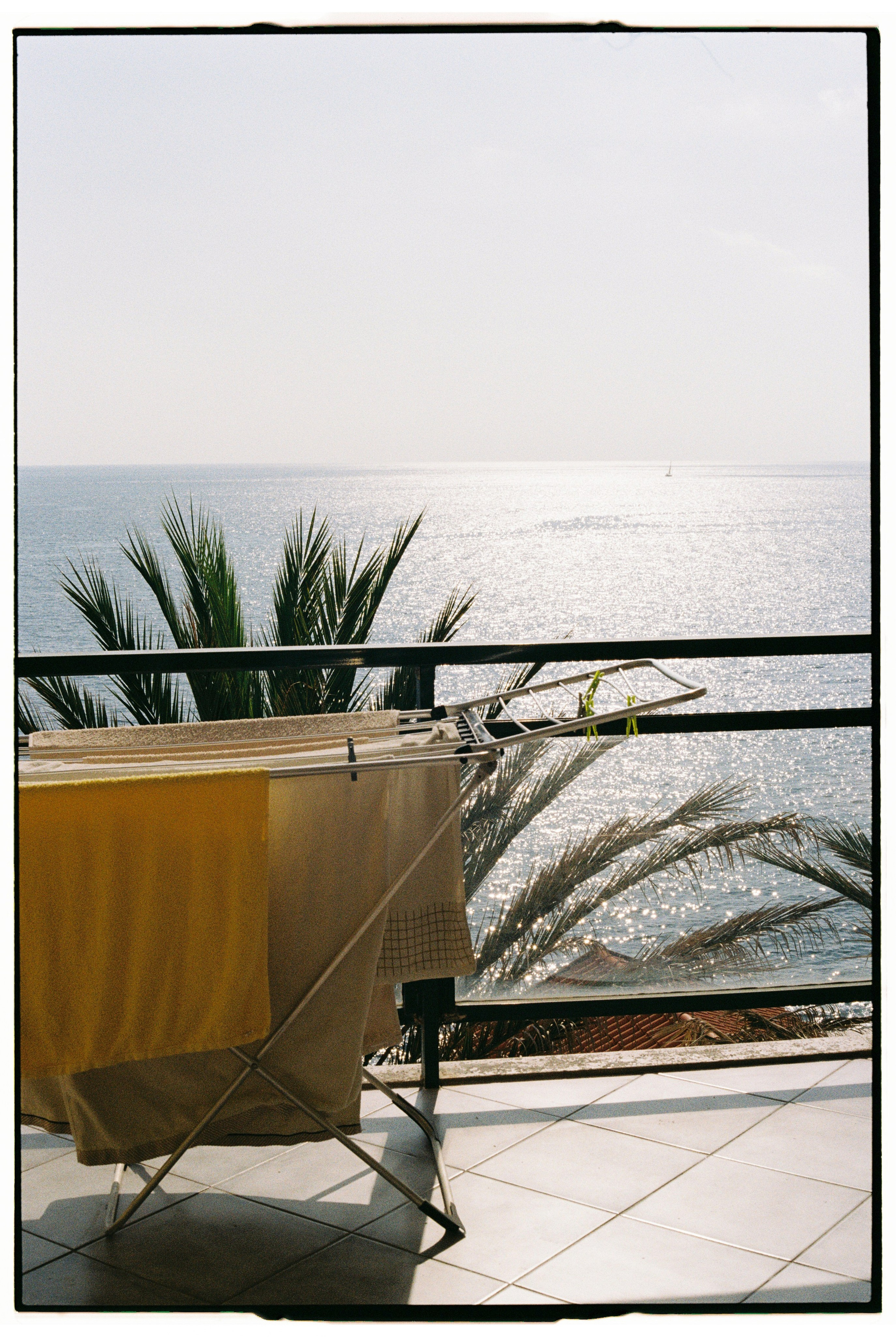 Madeira on film. Portrait photographer in Madeira — Marina Shtukina