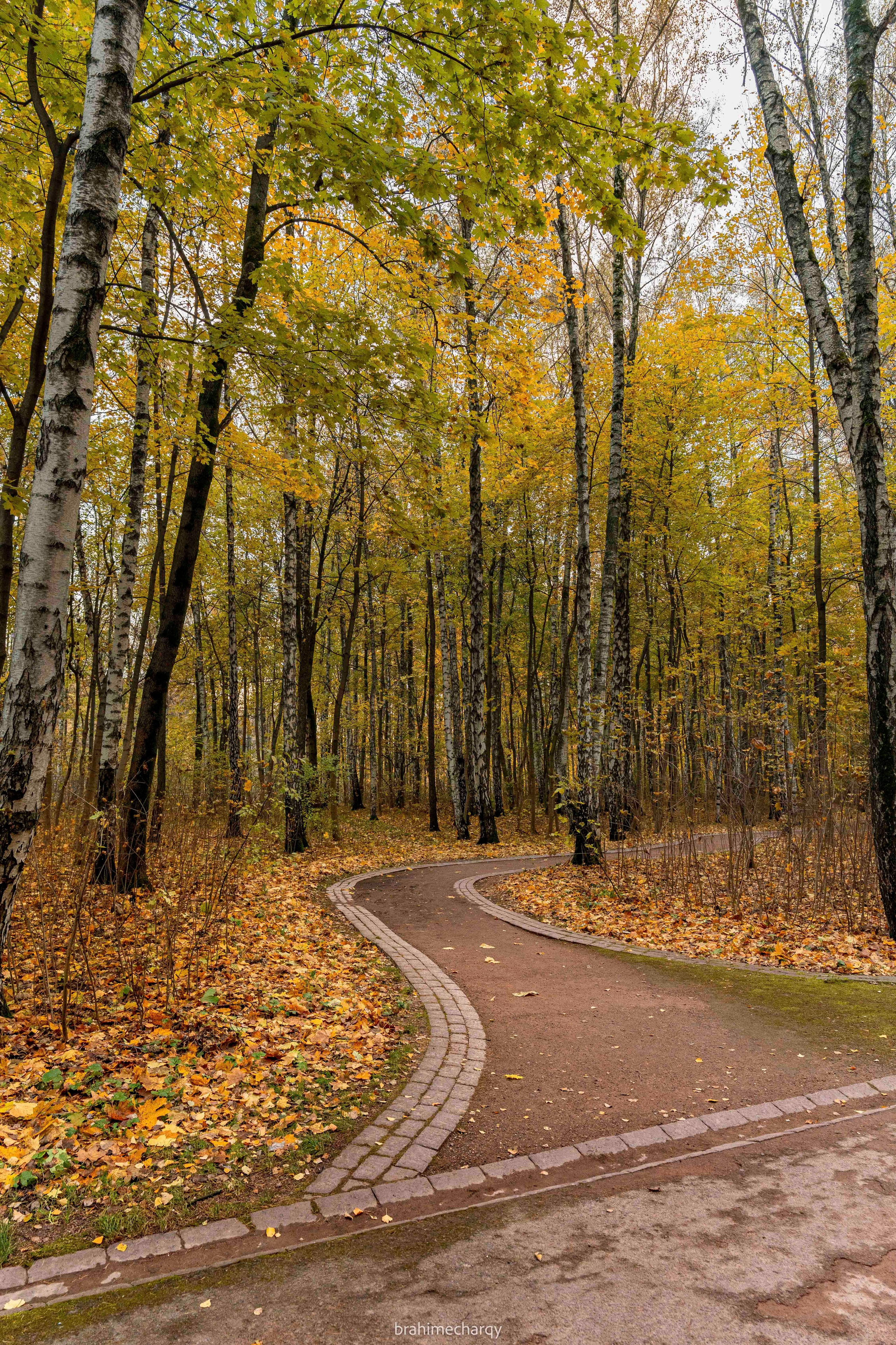 Фото. Брахим — фотограф
