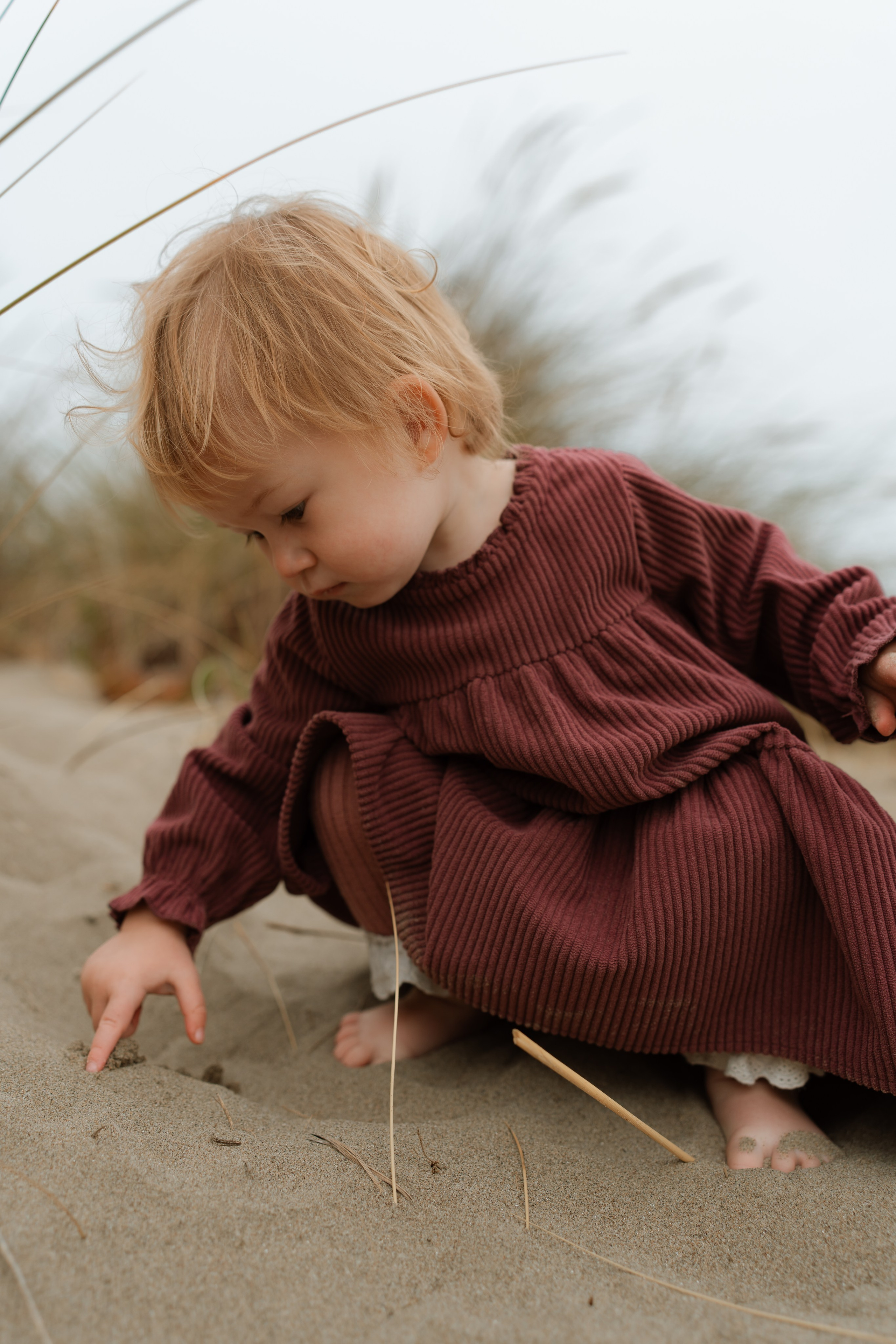 San Francisco Wedding Photography Portfolio | City Hall & Bay Area. Wedding & lifestyle photographer in Bay Area, San Francisco, Santa Cruz