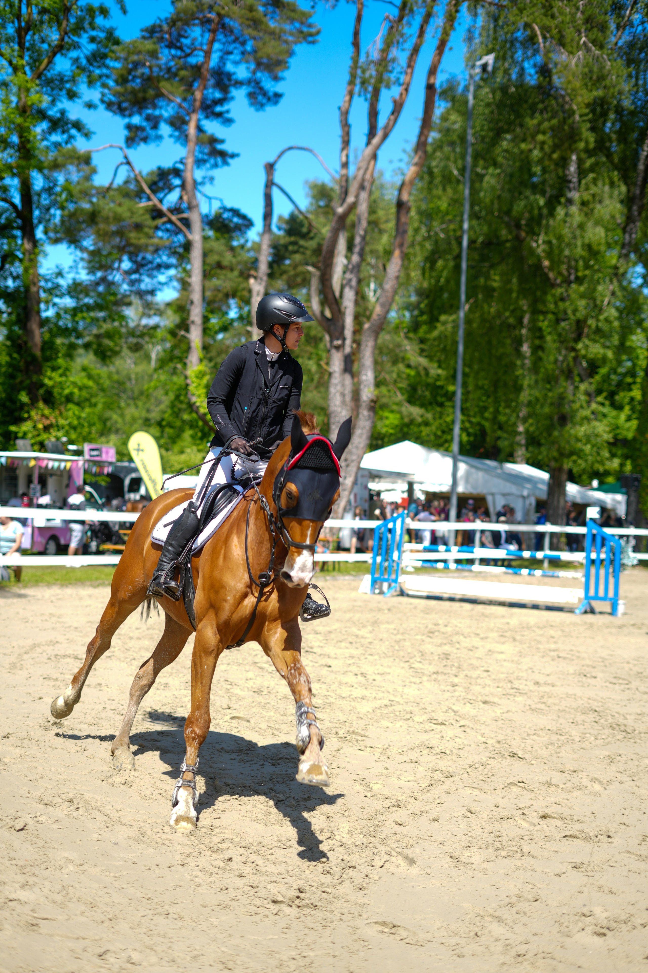 Equestrian Competition