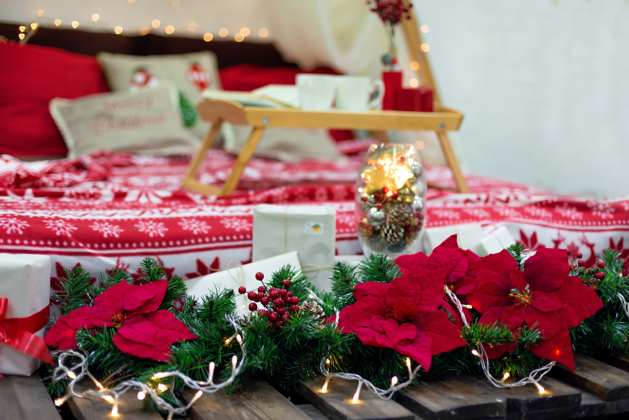 Коледни кампании. Portrait photography Burgas