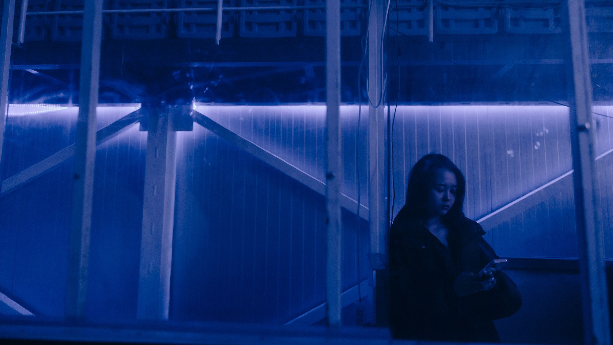 Концерт: ULUKMANAPO. Азимжан Нуритдинходжаев — свадебный фотограф