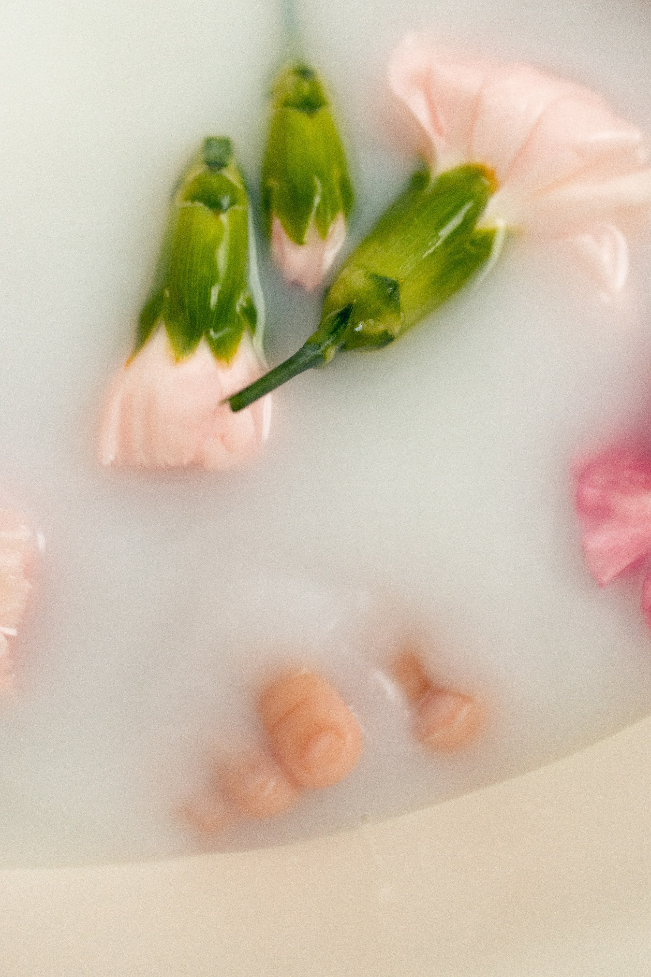 Milk bath. Anaeliseevaphoto.com