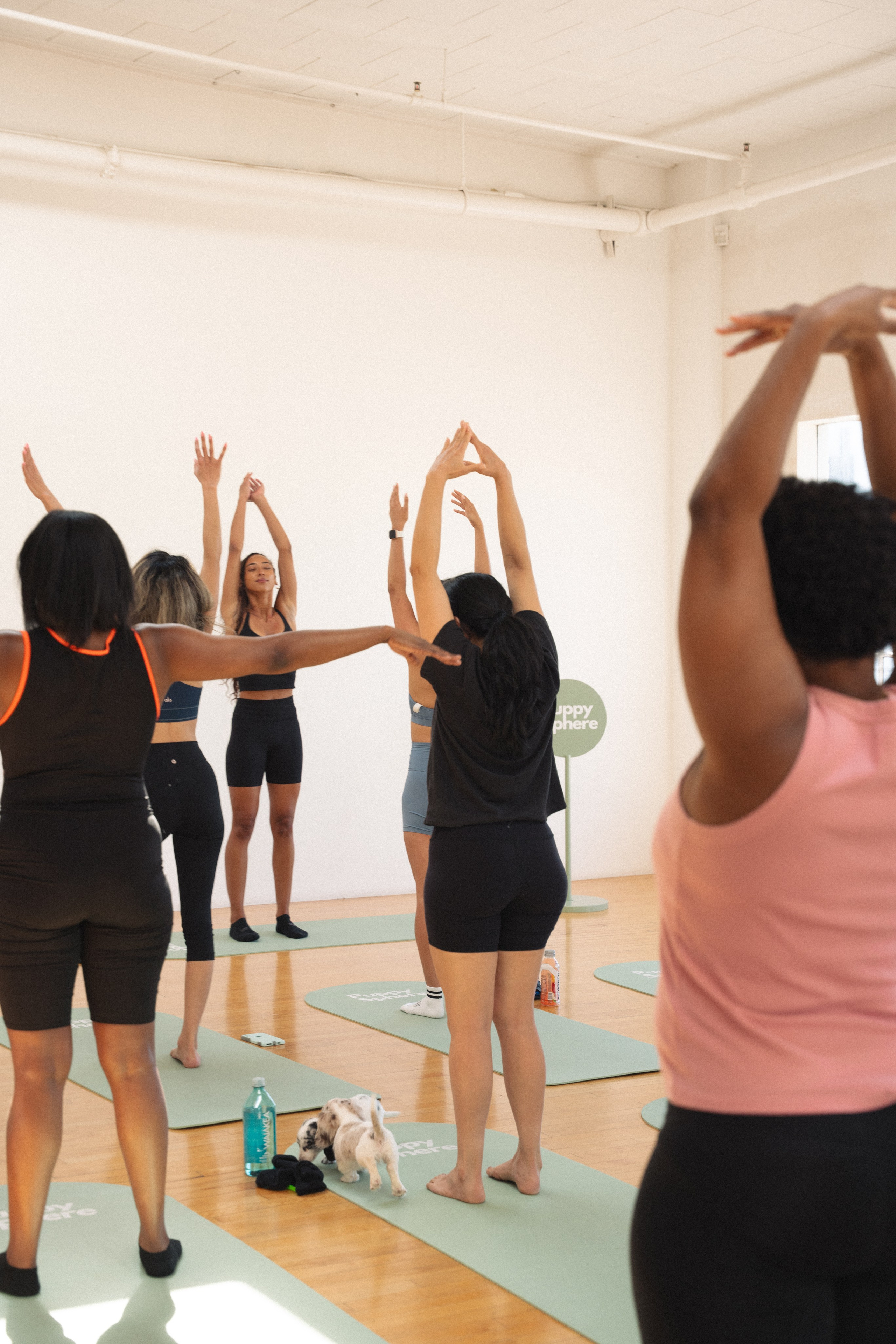 Yoga event in Los Angeles. Event photographer. Events in Los Angeles. Fitness event in Los Angeles. Fitness event photographer