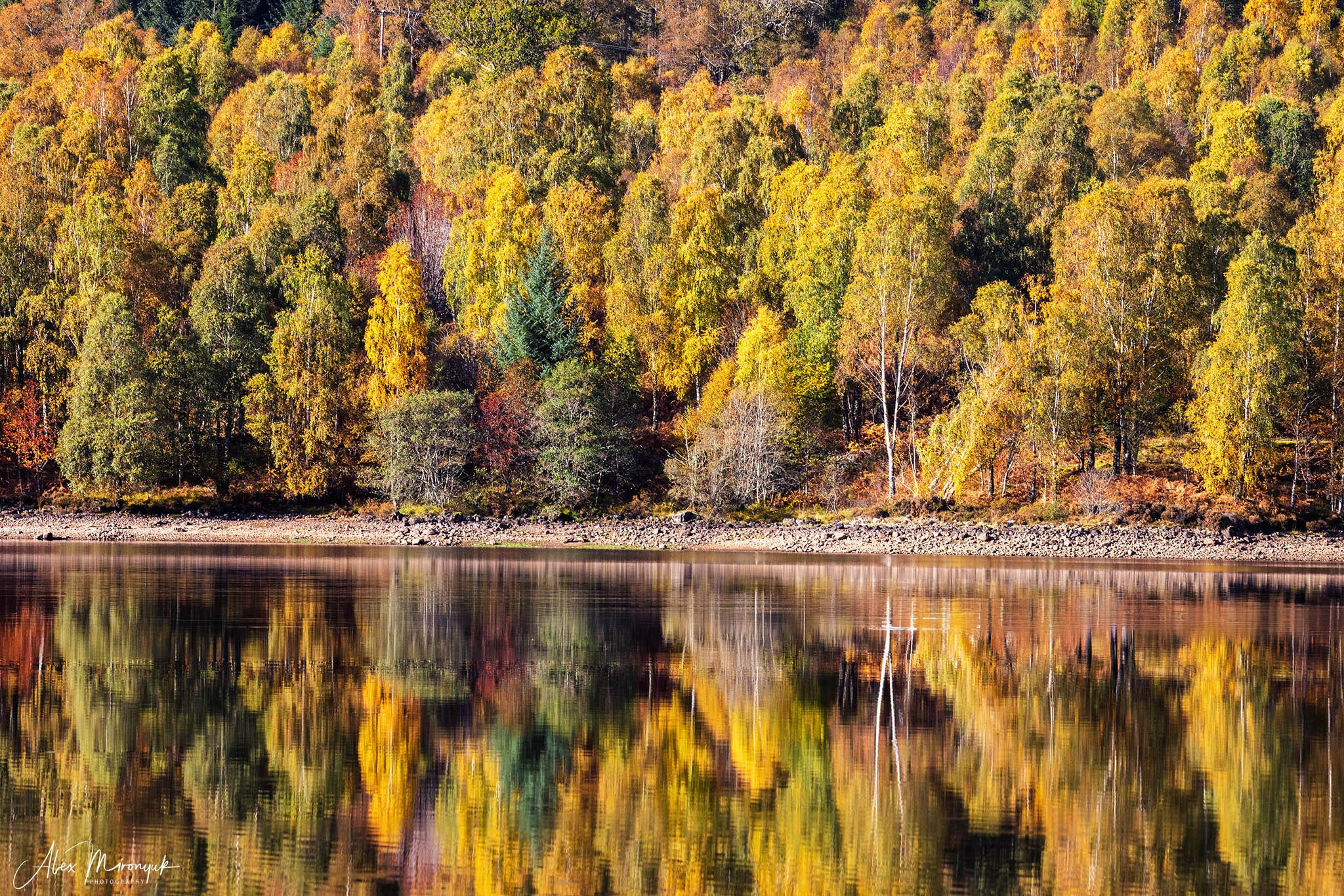 Scotland’s Highlands. Pet, Senior, Landscape, portrait studio, photographer in Miami and Sou