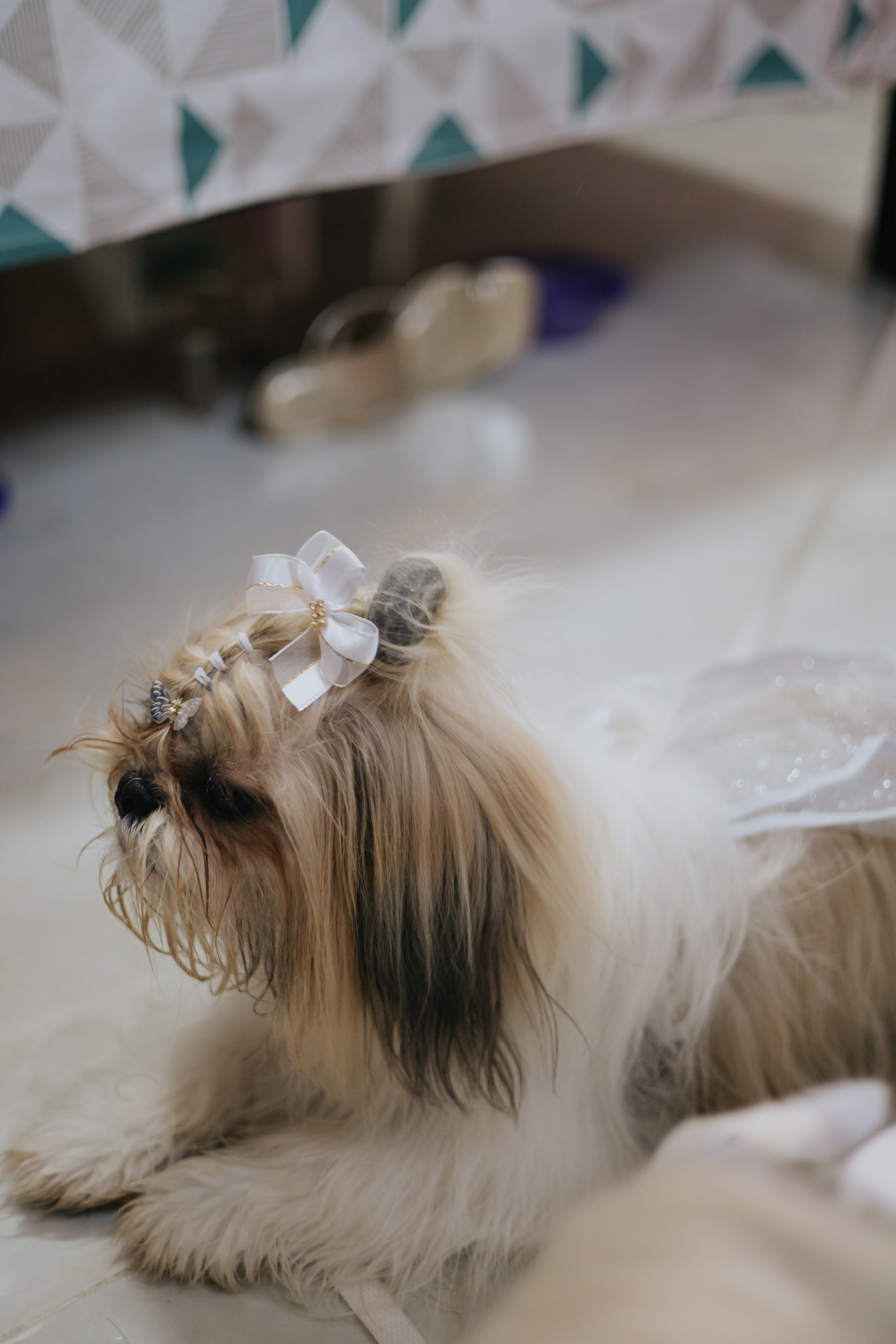 Pettúlia & Breno. Fotógrafo de Casamentos na Bahia — Richard Silvestre