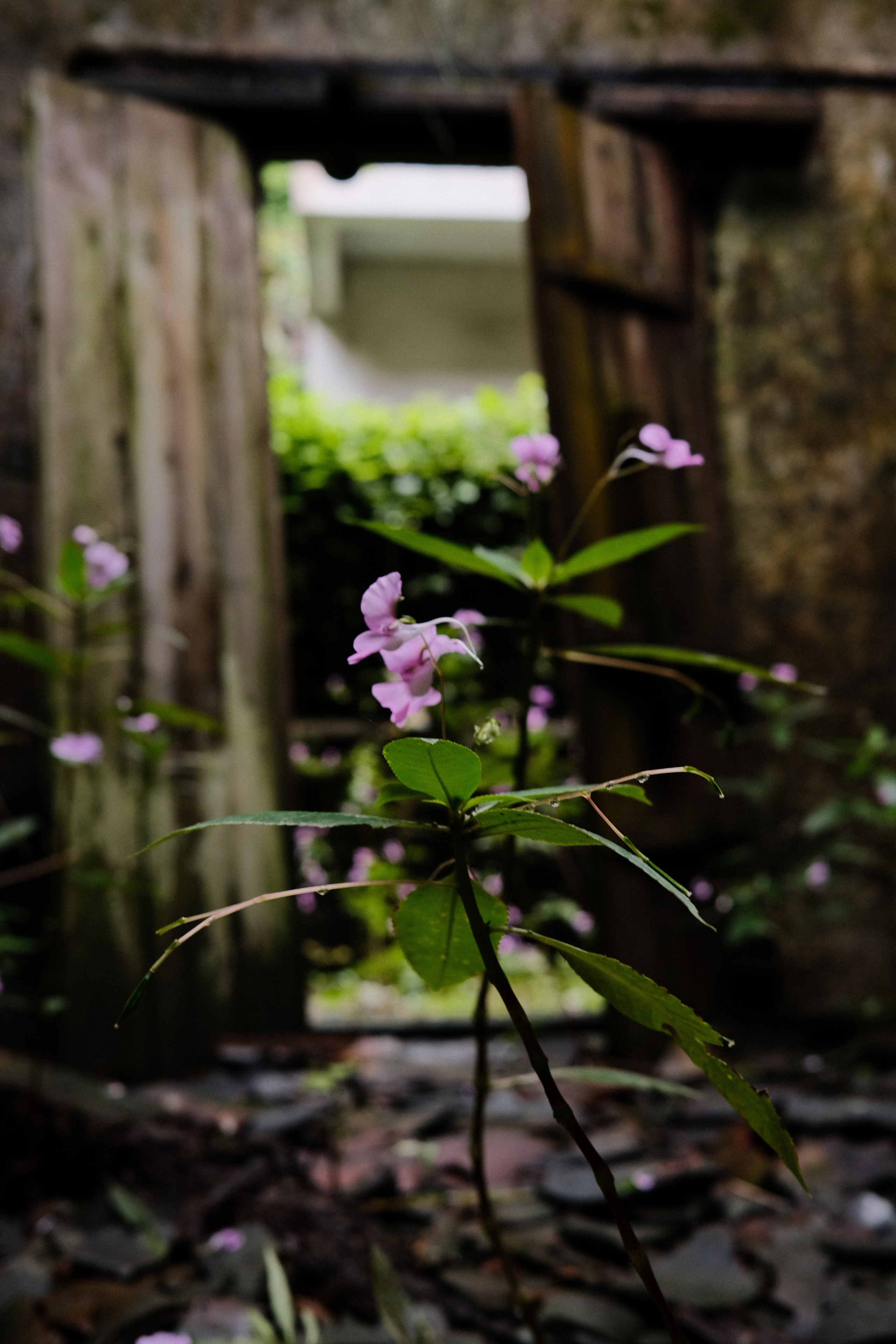 Yangshuo China Guiling. Фотограф В Гуанчжоу и Шэньчжэнь Андрей Лопатин