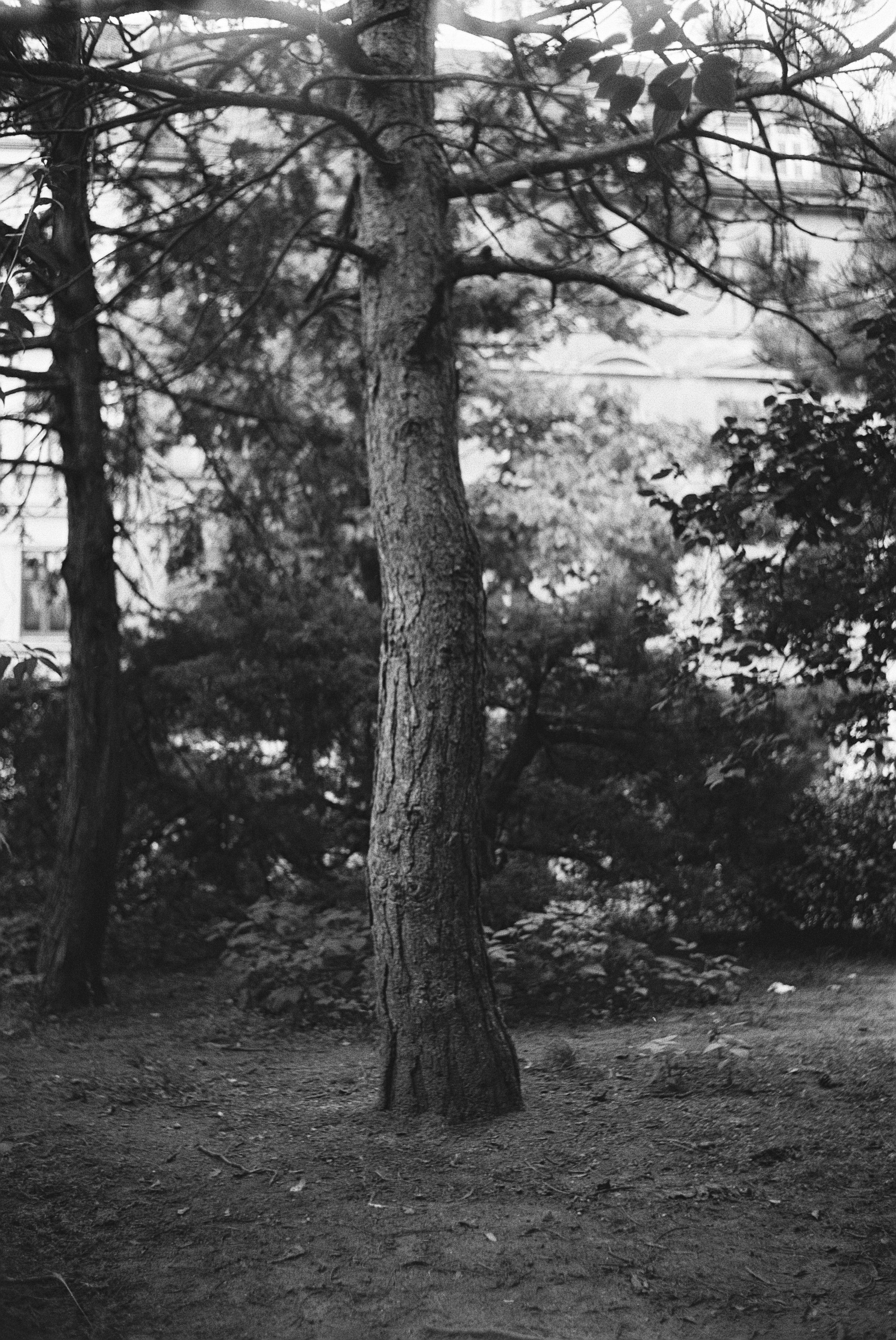 Analog Sketches. Anastasia Musinova