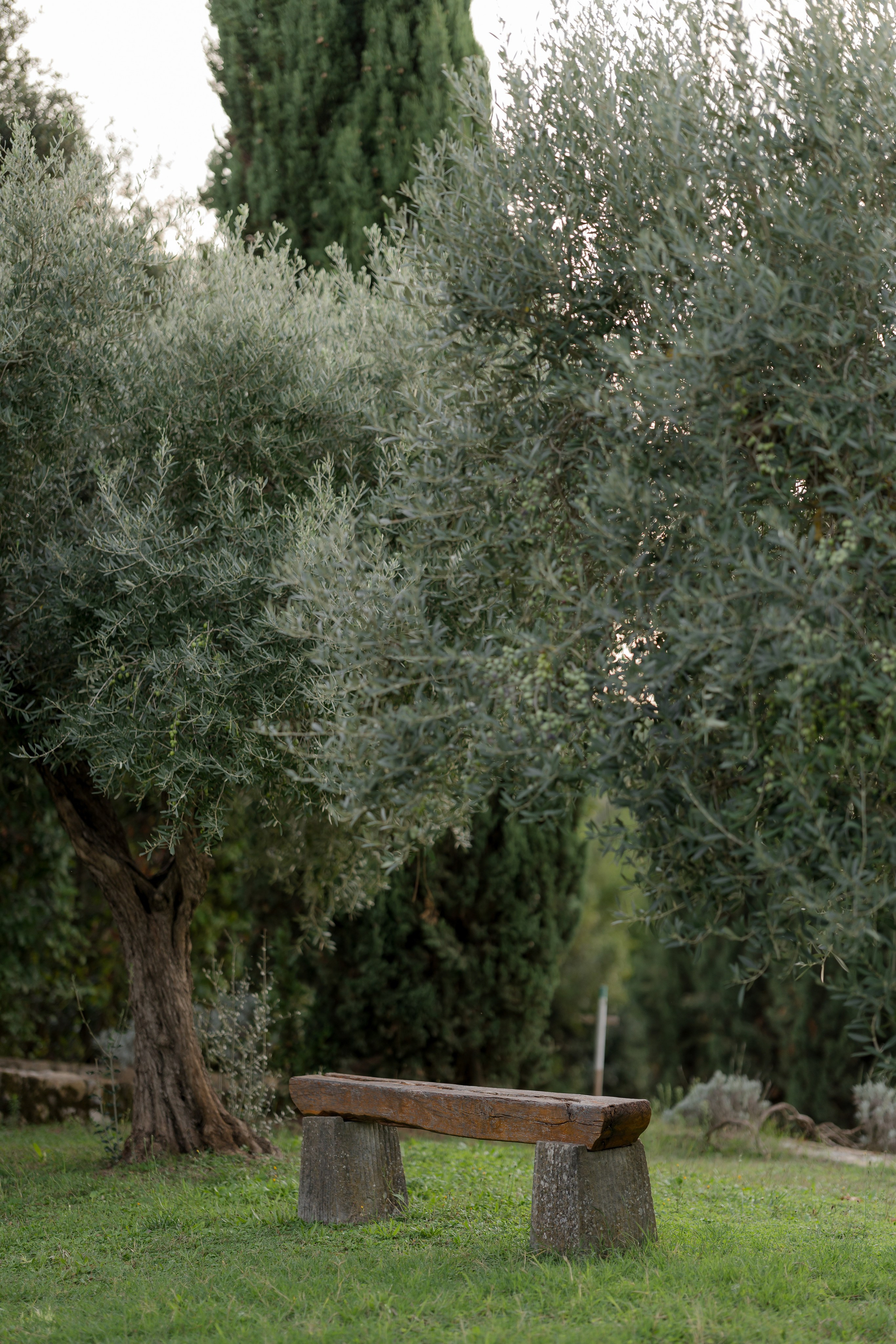 Dom&Ally. Весільний фотограф Вікторія Саврук