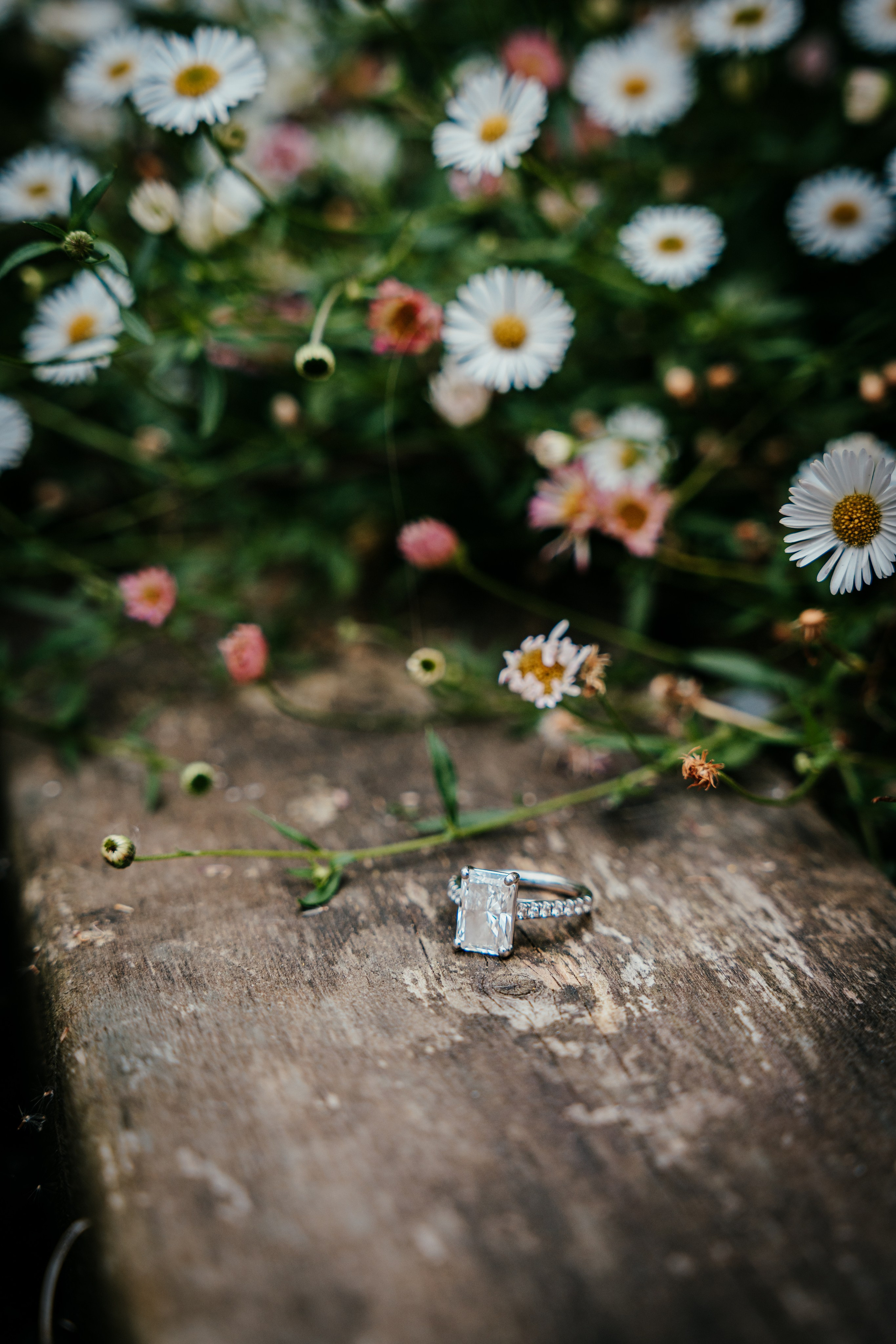 Wedding Day. Tonya Kyrylenko photographer in London