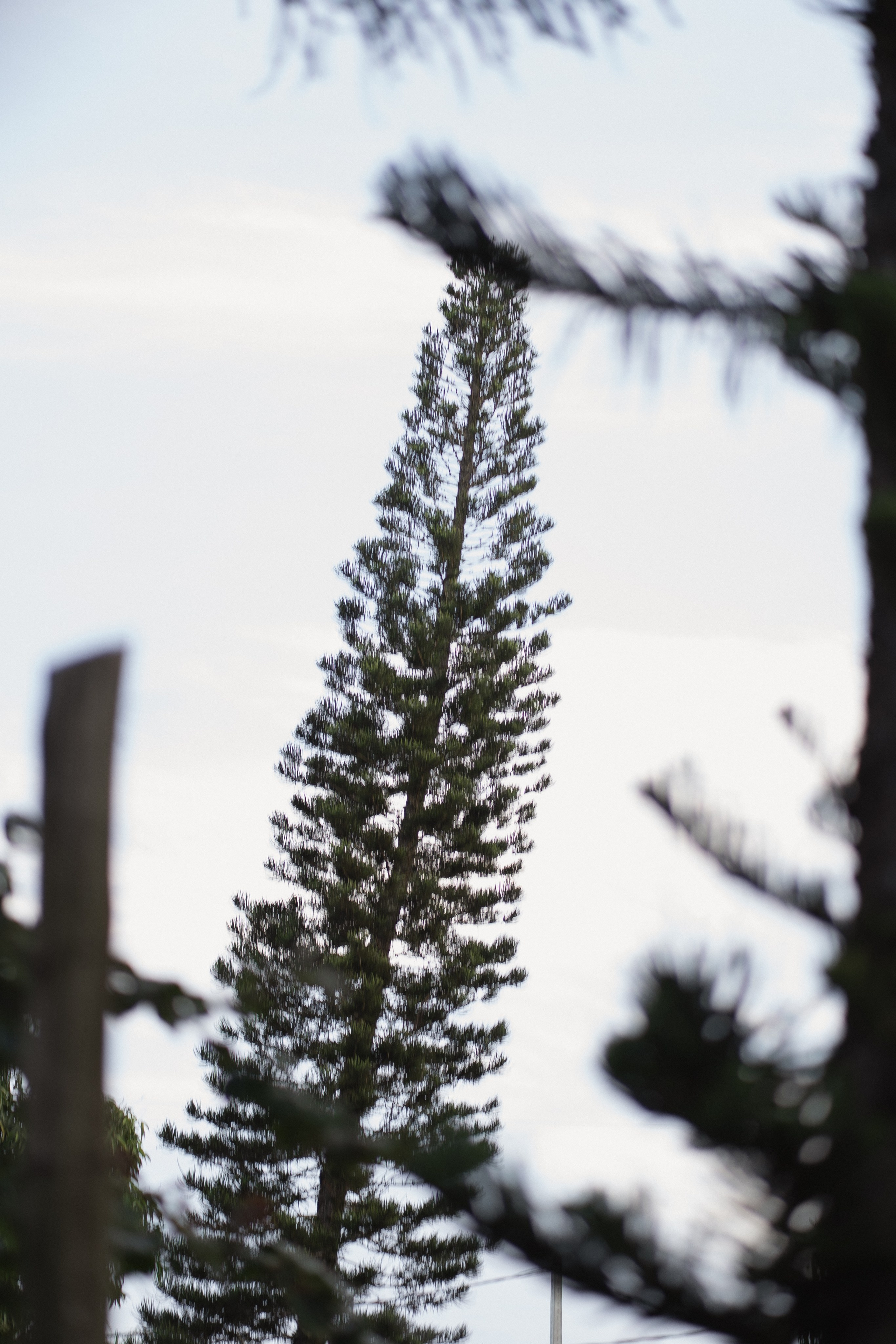 Isabella & Arthur | Vila Velha-ES. Lembrar não é só ver. É sentir de novo