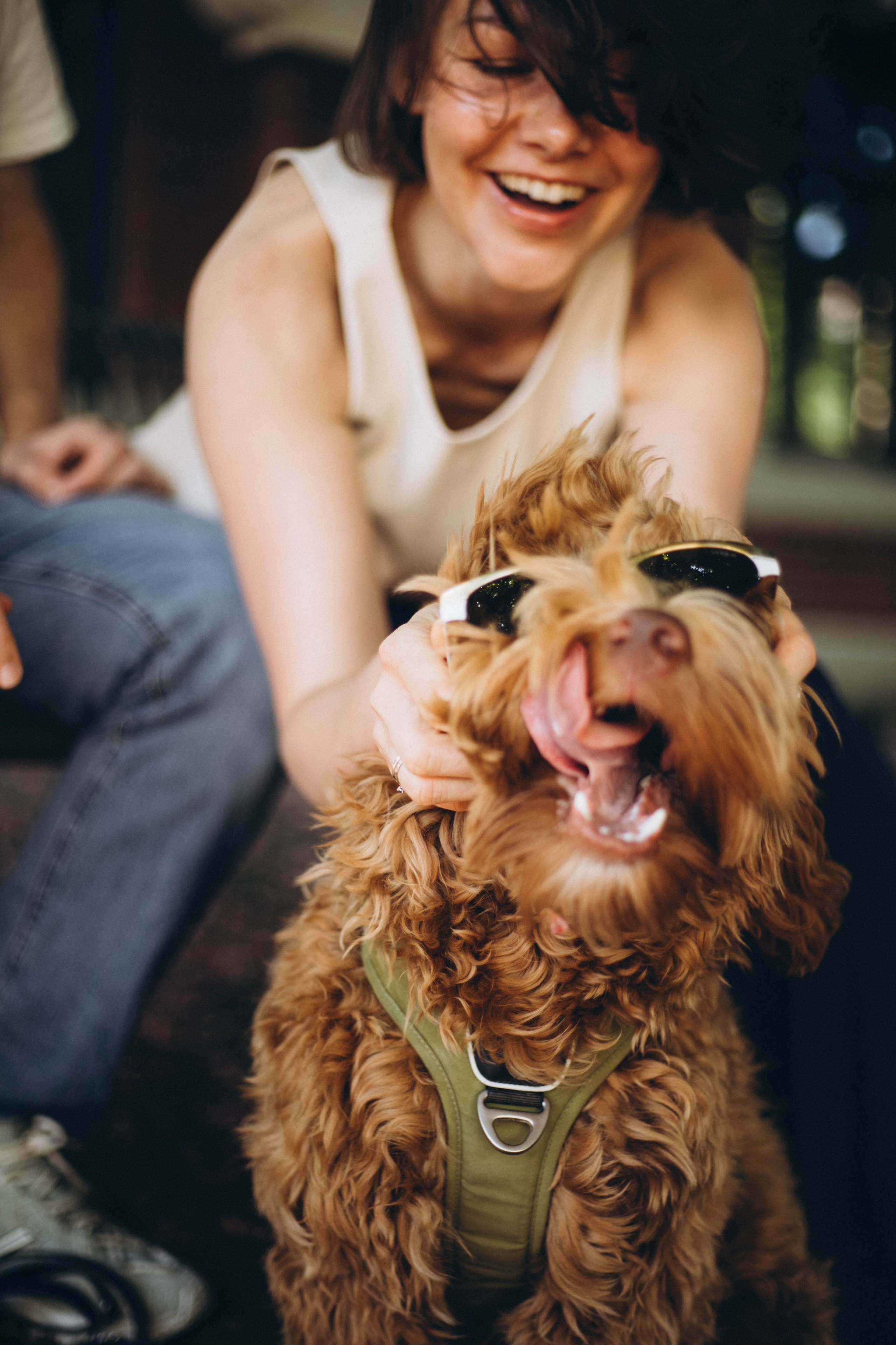 Tiere. Fotograf Düsseldorf, Köln, NRW - Kristina Braudo