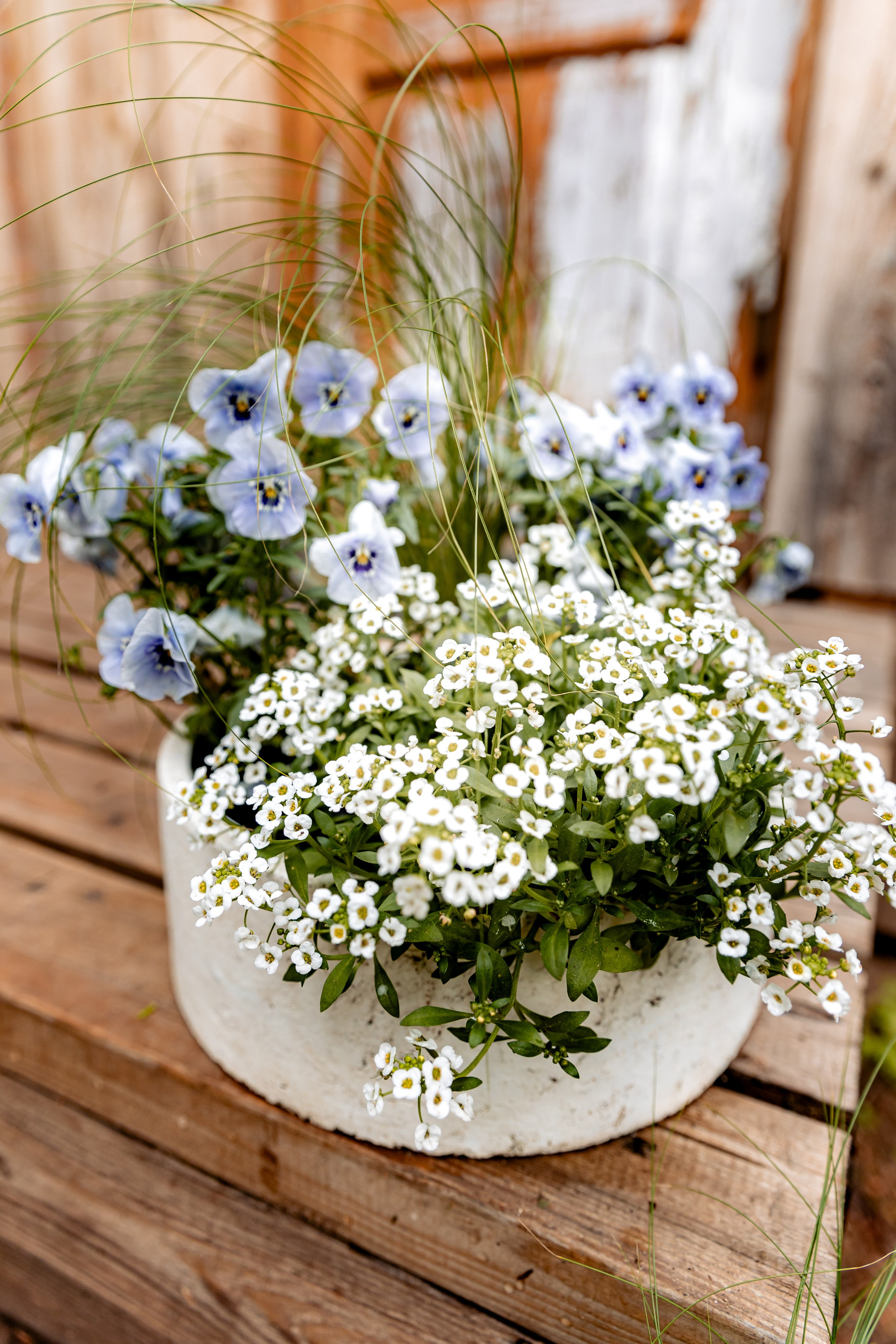 Adrija & Vladislavs, Latvia. June, 2022. Timeless Wedding & Event Photography — based London, working across Europe