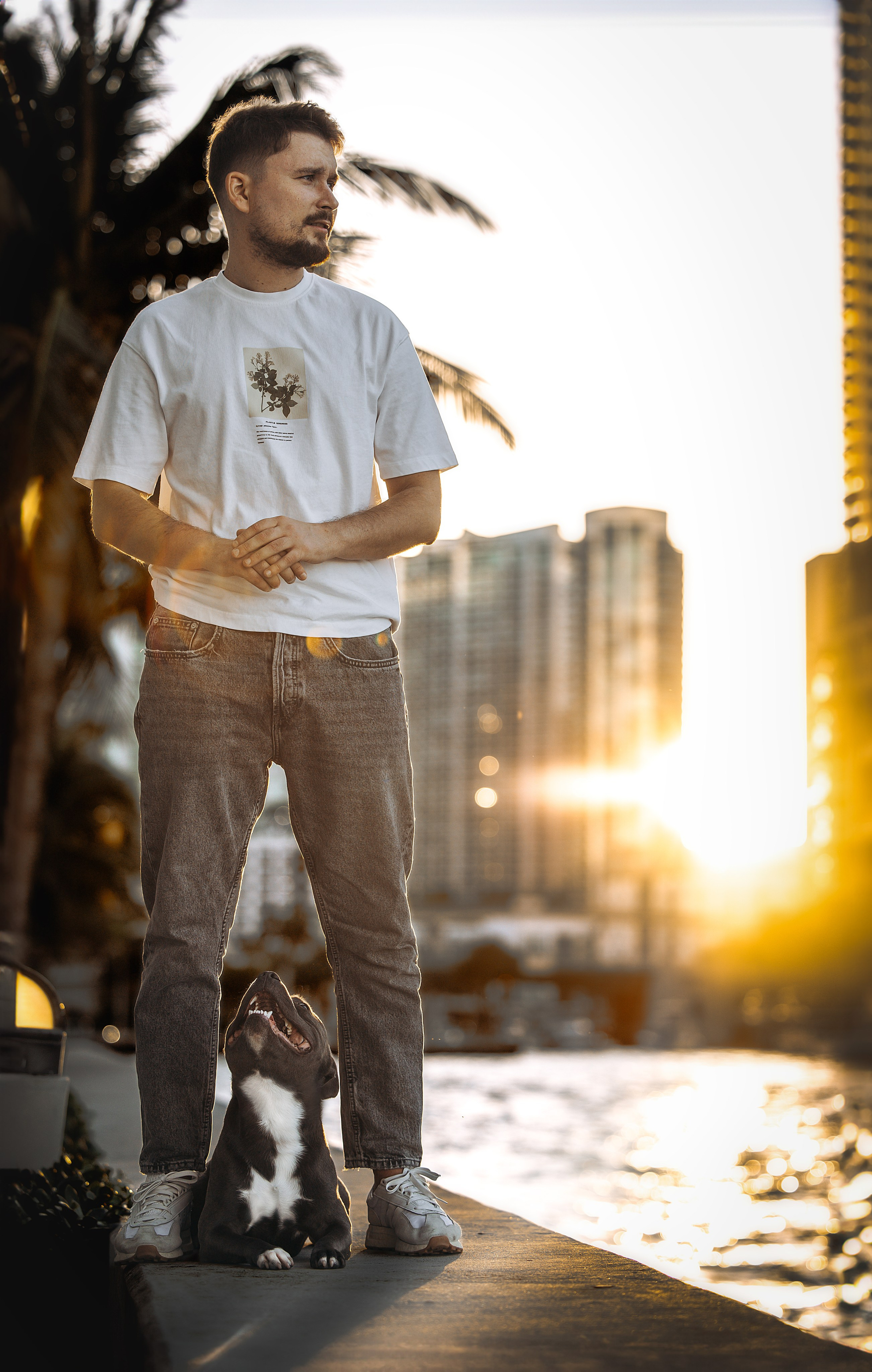 Cosmo & Serge. Pet Photographer Viktoriya Aleshenko