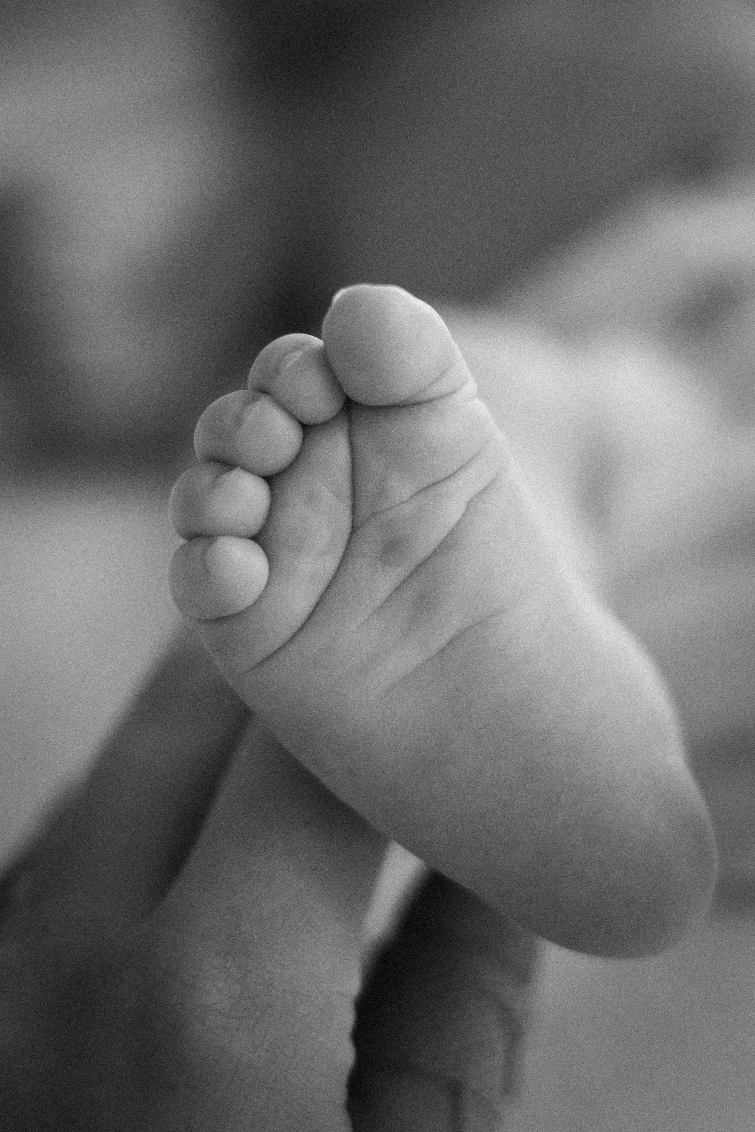 Solomon 14 days. Newborn, Maternity & Family Photographer in Charlotte, North Carolina | Arhipova Julia