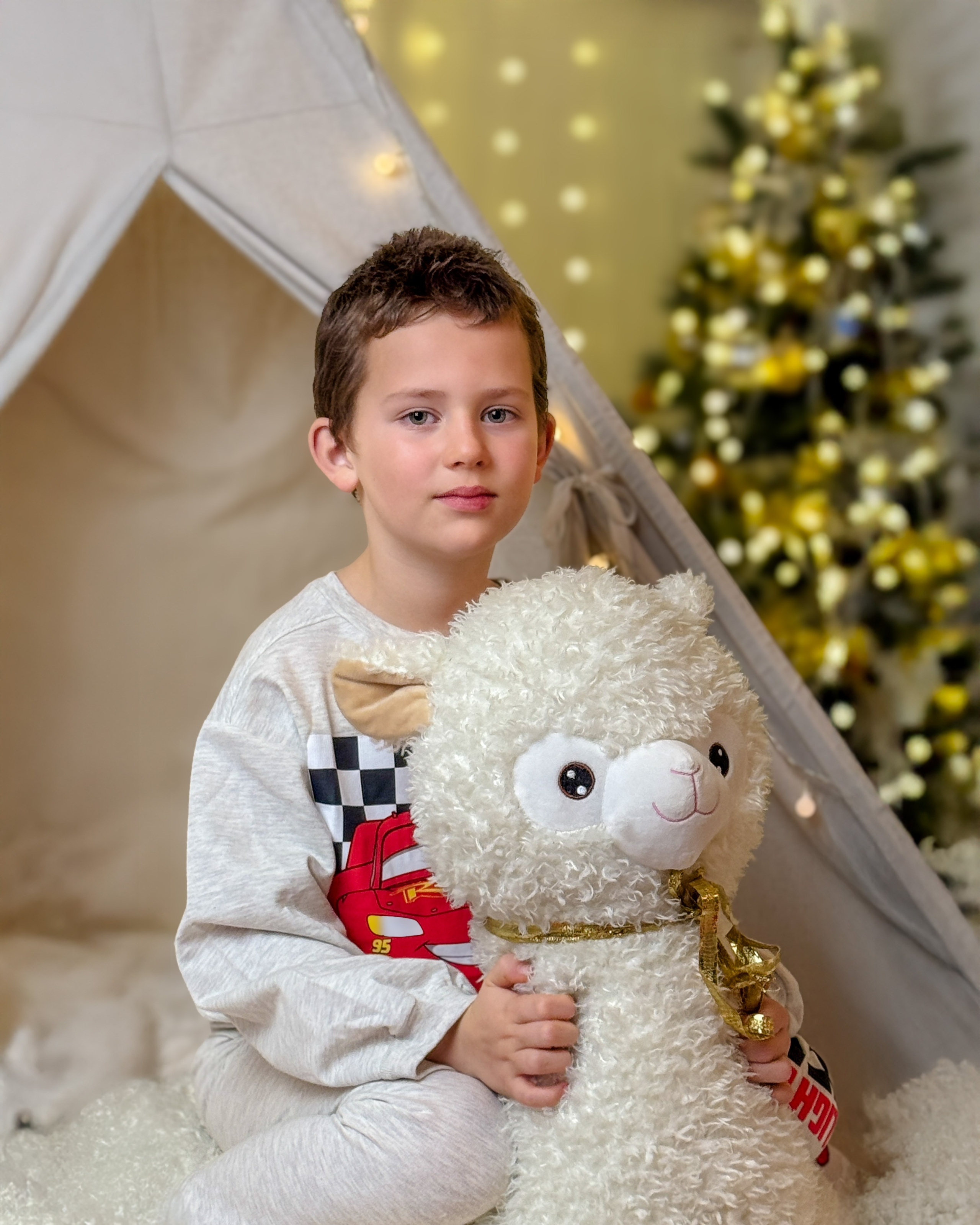 Christmas. Olga Rocheva Photography