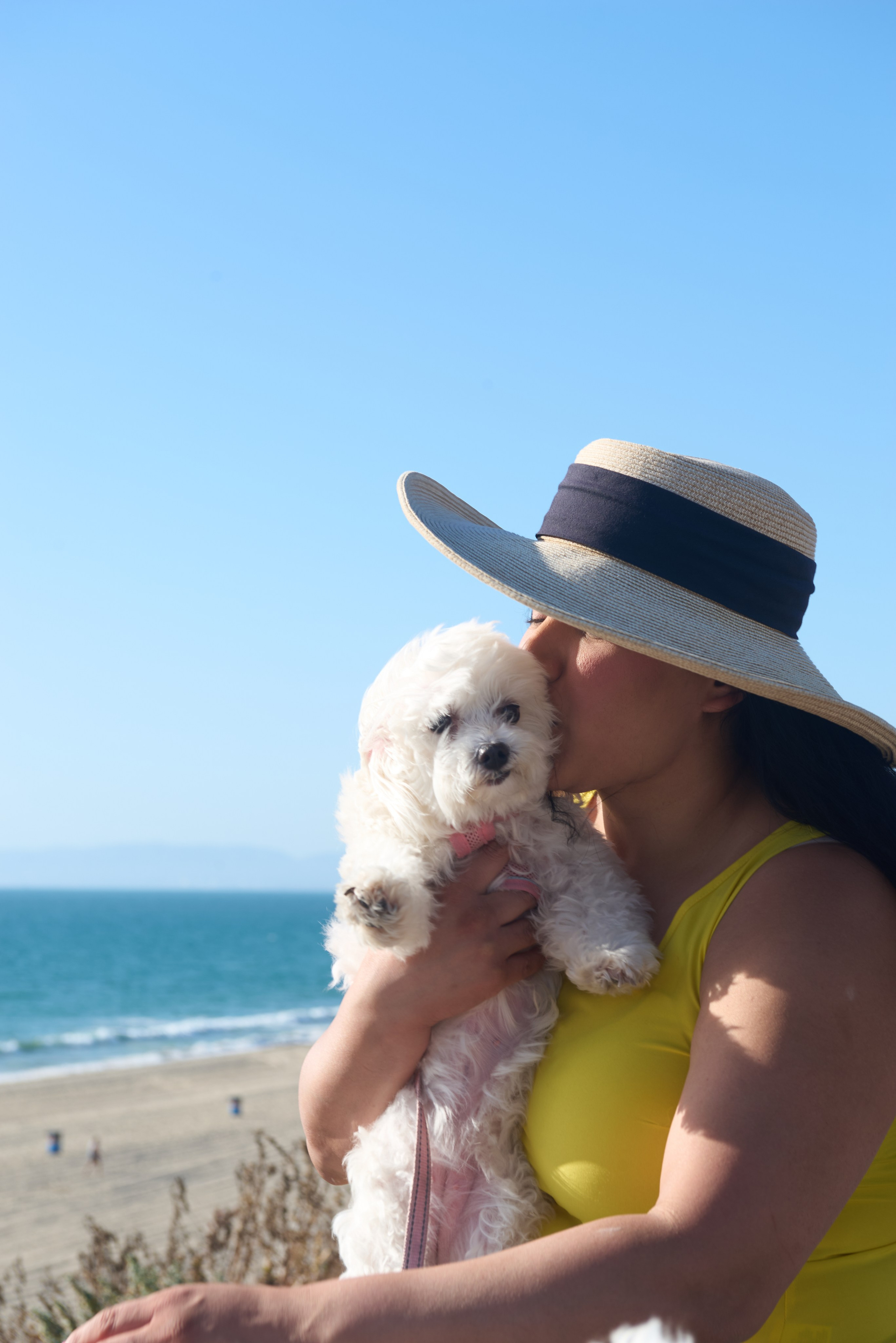 Lifestyle portrait of a family with their dog in South Bay Los Angeles